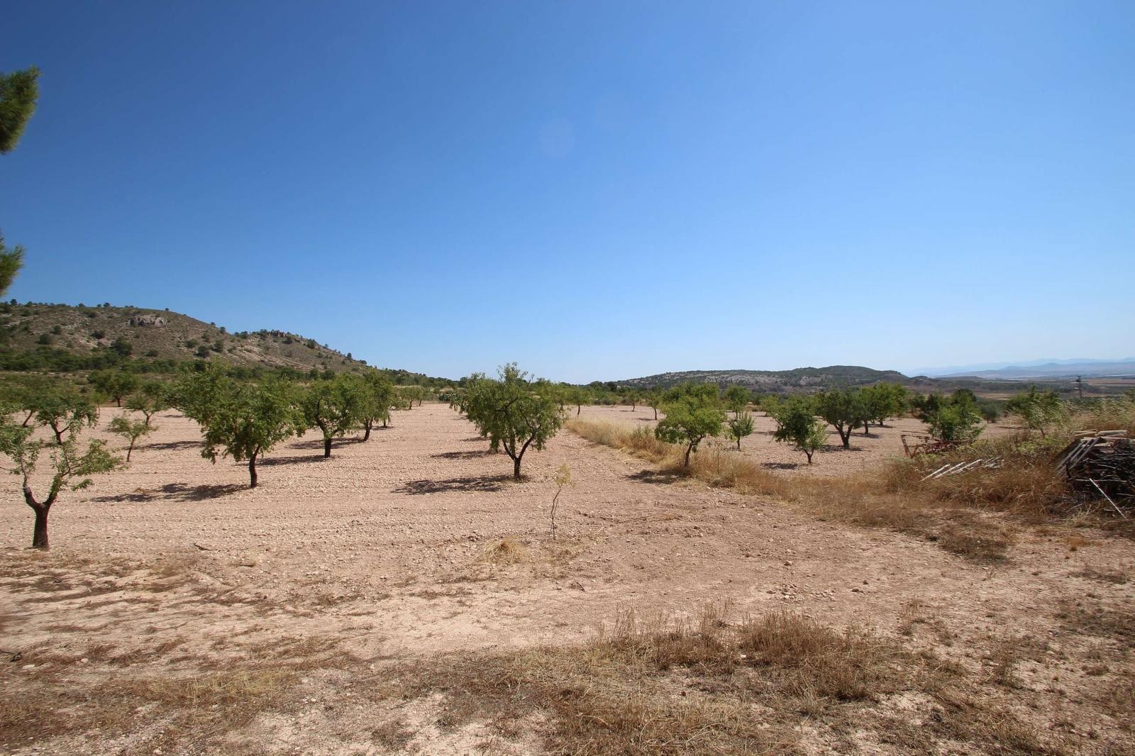 Resale - 3 Bedroom 1 Bathroom Country house in Yecla - - Murcia Resale - 3 Bedroom 1 Bathroom Country house in Yecla - - Murcia