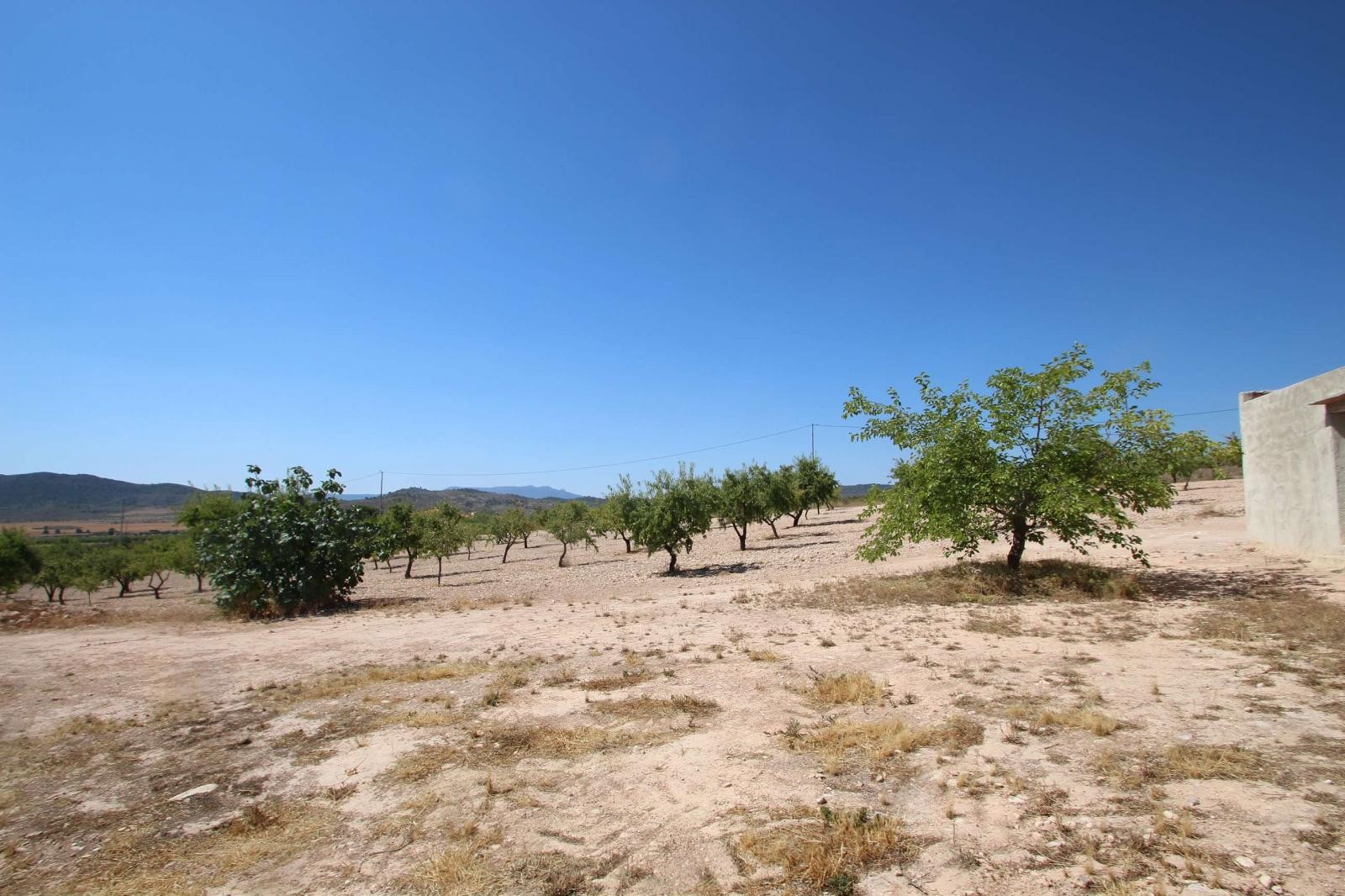 Resale - 3 Bedroom 1 Bathroom Country house in Yecla - - Murcia Resale - 3 Bedroom 1 Bathroom Country house in Yecla - - Murcia