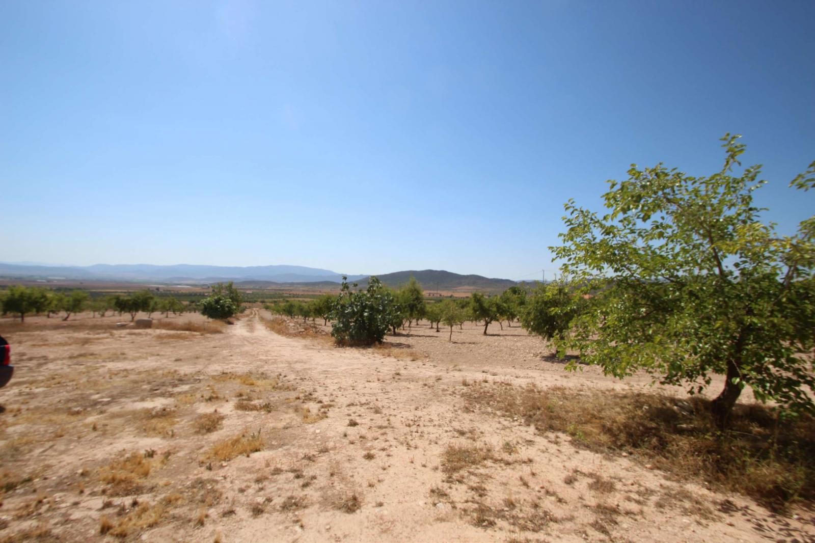 Resale - 3 Bedroom 1 Bathroom Country house in Yecla - - Murcia Resale - 3 Bedroom 1 Bathroom Country house in Yecla - - Murcia