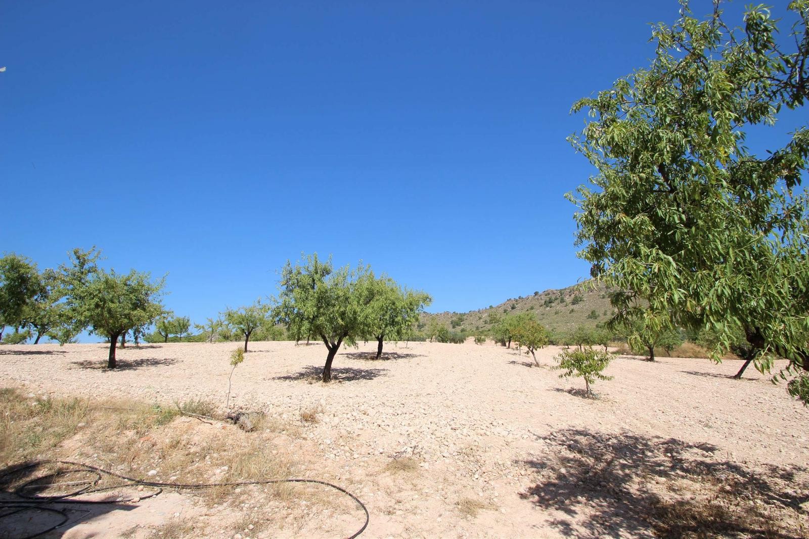 Resale - 3 Bedroom 1 Bathroom Country house in Yecla - - Murcia Resale - 3 Bedroom 1 Bathroom Country house in Yecla - - Murcia