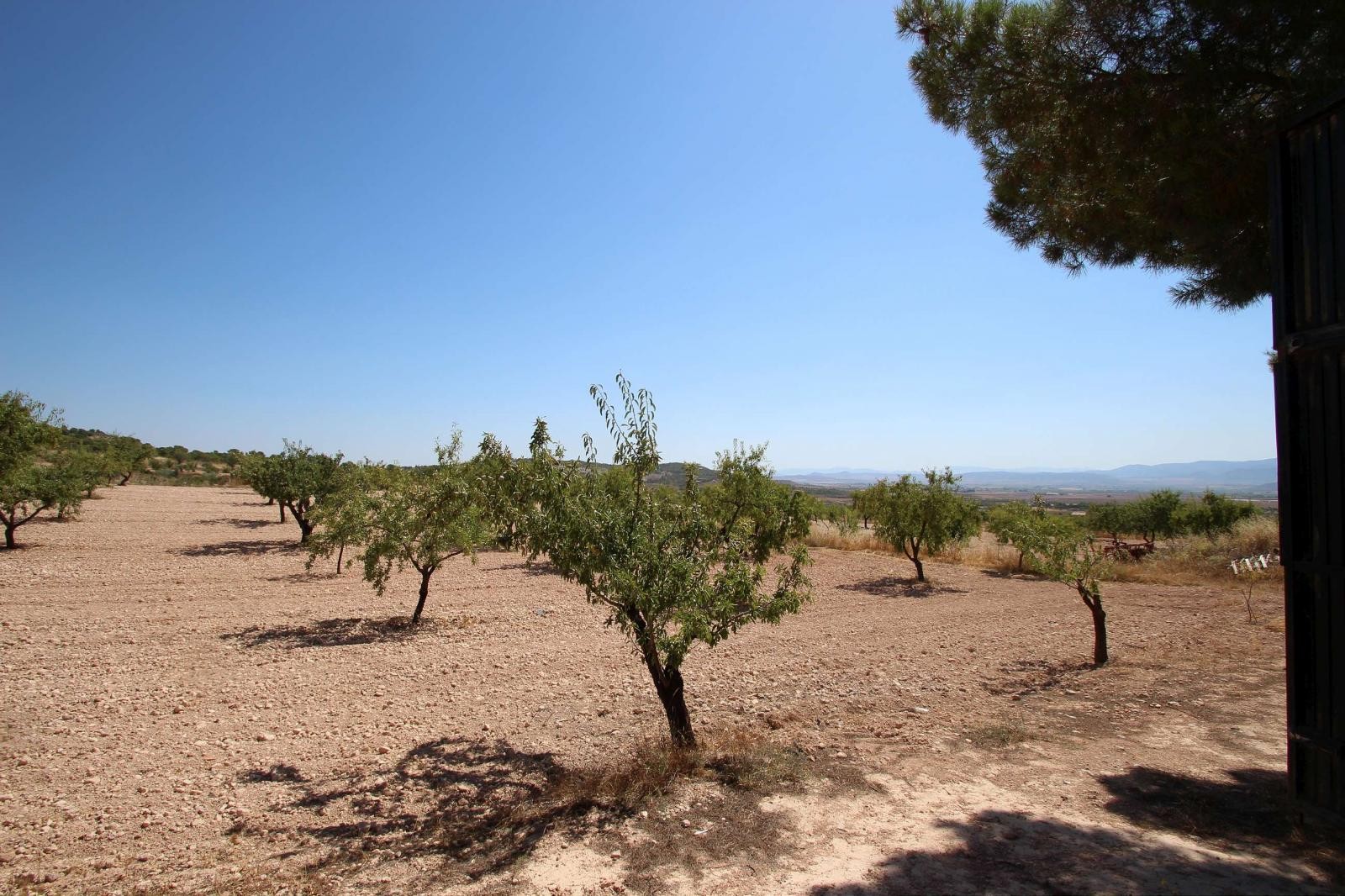 Resale - 3 Bedroom 1 Bathroom Country house in Yecla - - Murcia Resale - 3 Bedroom 1 Bathroom Country house in Yecla - - Murcia
