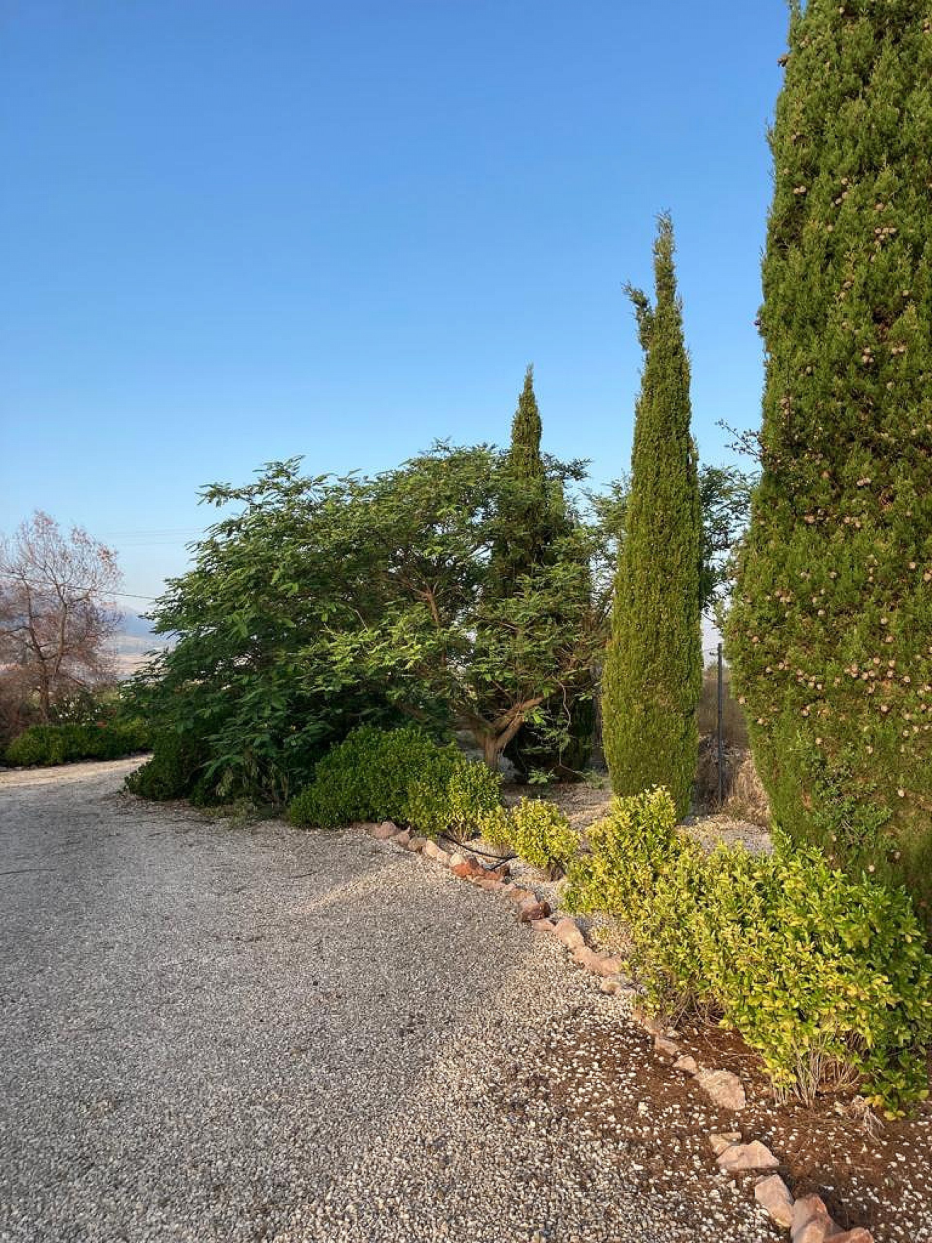 Sold - 4 Bedroom 3 Bathroom Villa in Pinoso - - Alicante Sold - 4 Bedroom 3 Bathroom Villa in Pinoso - - Alicante