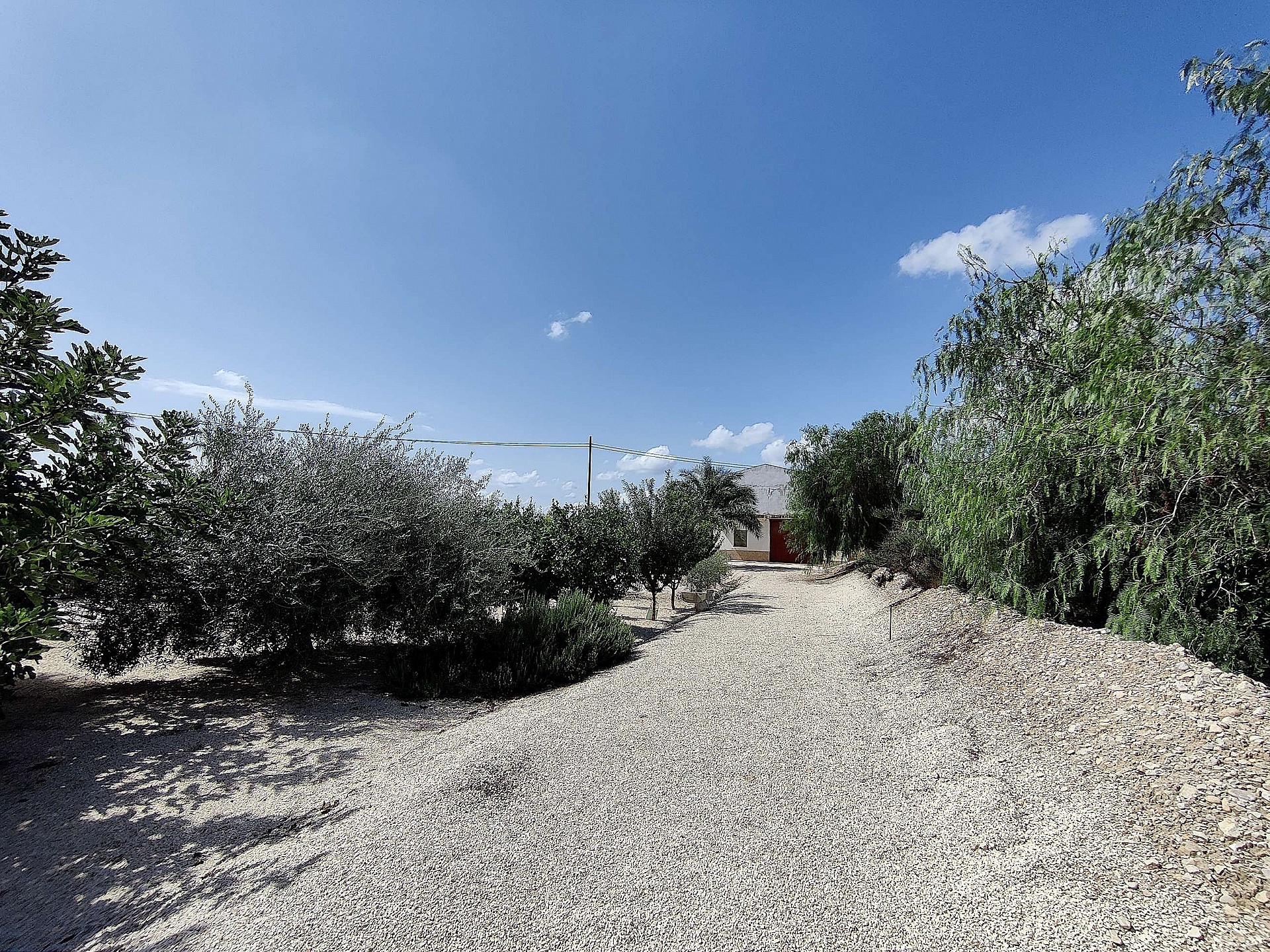 Resale - 3 Bedroom 2 Bathroom Villa in Crevillente - - Alicante Resale - 3 Bedroom 2 Bathroom Villa in Crevillente - - Alicante