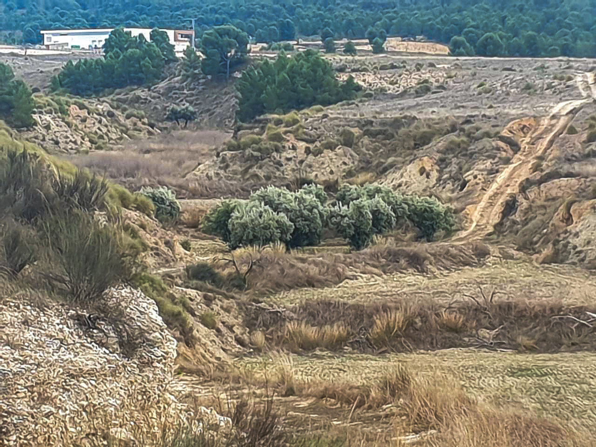 Sold - 3 Bedroom 1 Bathroom Country house in Jumilla - - Murcia Sold - 3 Bedroom 1 Bathroom Country house in Jumilla - - Murcia