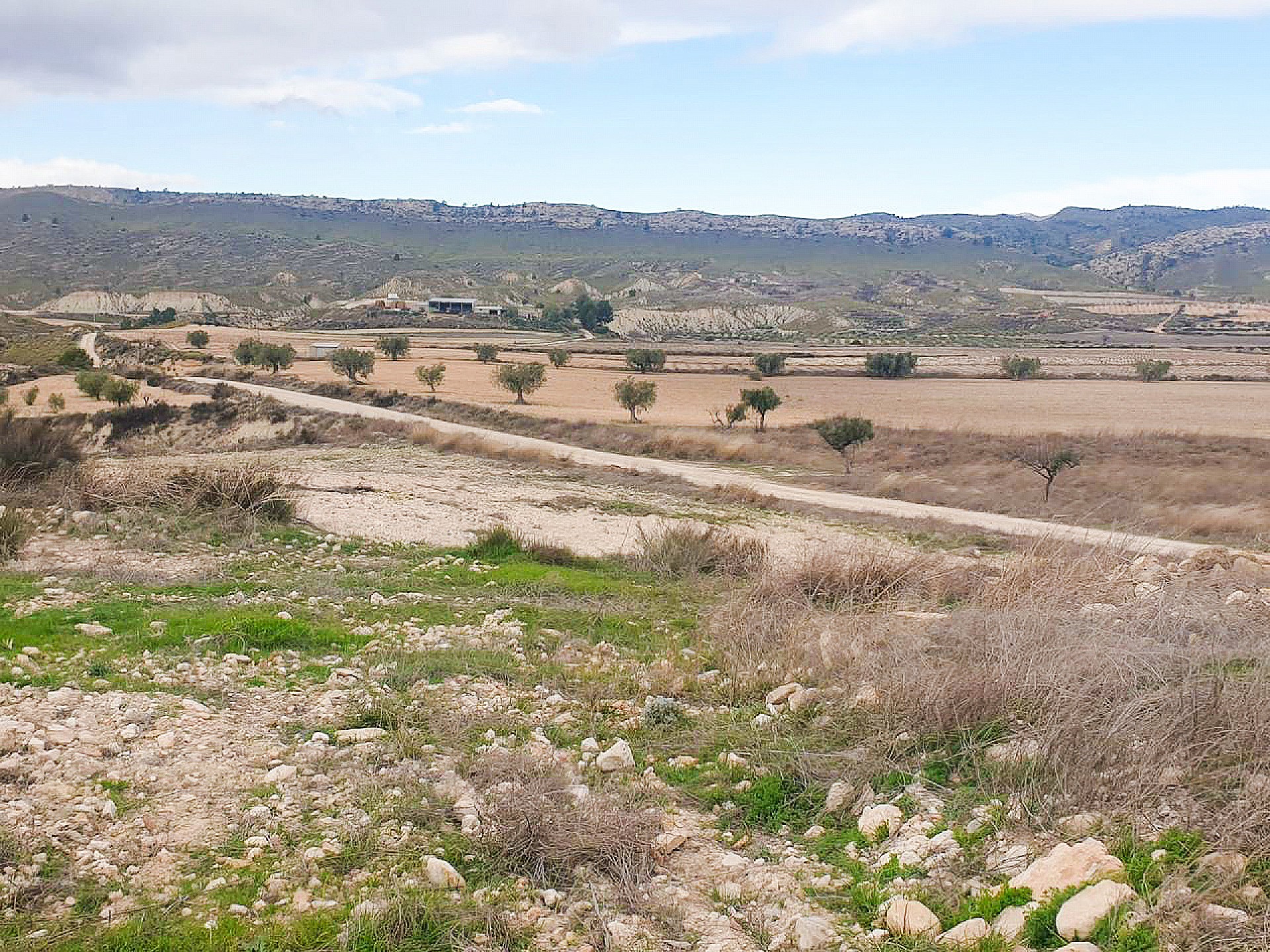 Sold - 3 Bedroom 1 Bathroom Country house in Jumilla - - Murcia Sold - 3 Bedroom 1 Bathroom Country house in Jumilla - - Murcia