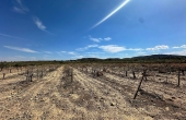 3-7840/2608, Land in Yecla