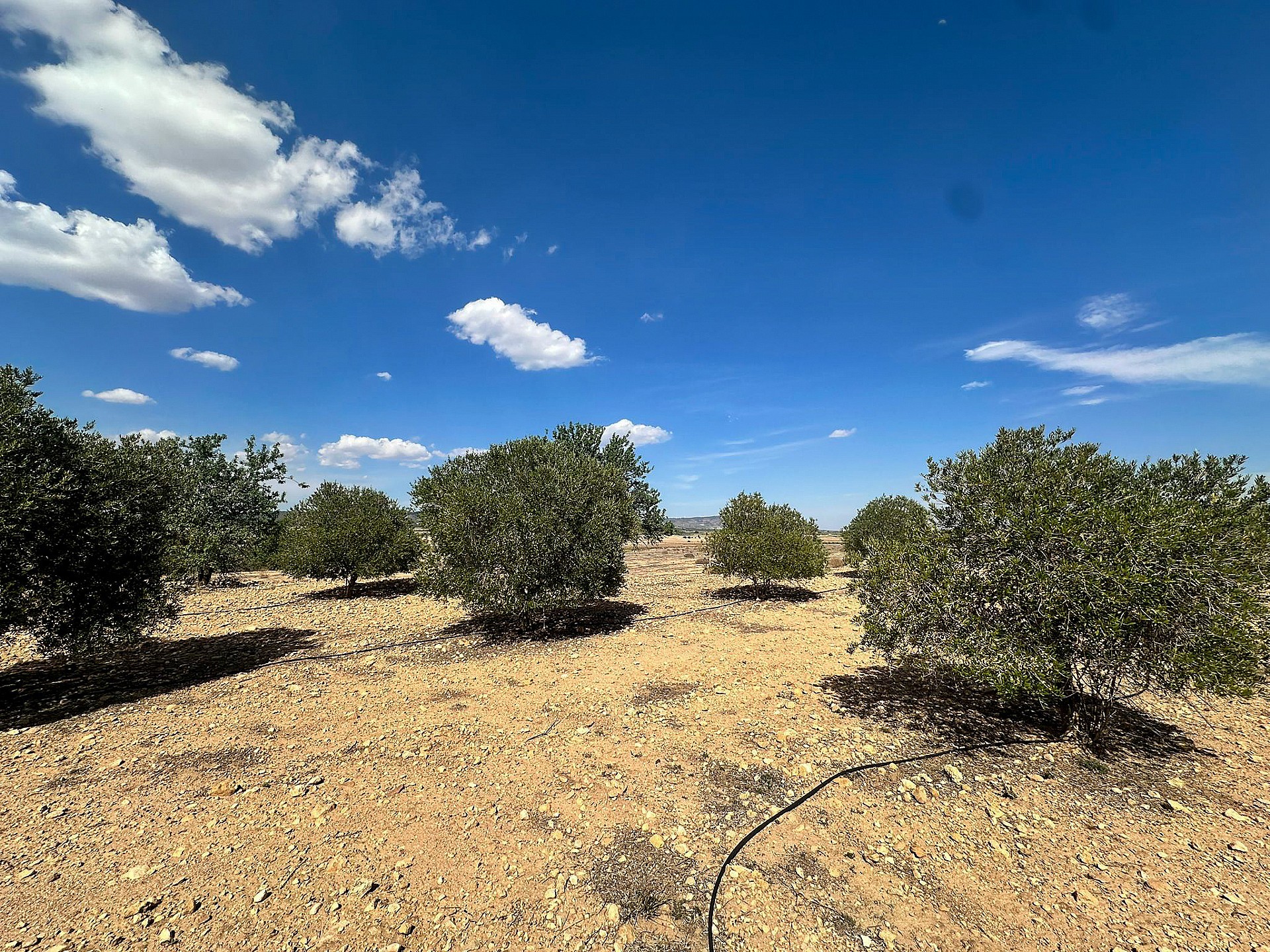 Resale - Land in Yecla - - Murcia Resale - Land in Yecla - - Murcia