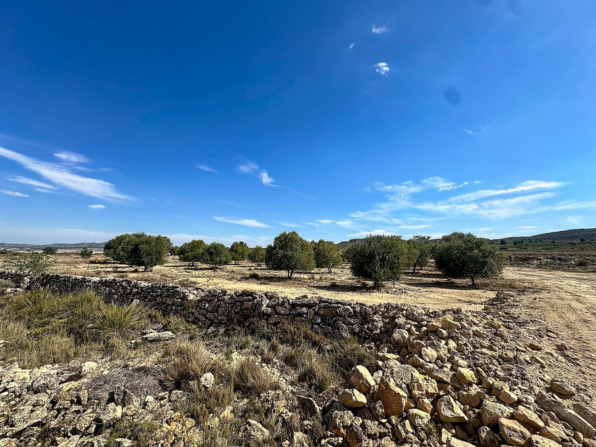 Resale - Land in Yecla - - Murcia Resale - Land in Yecla - - Murcia