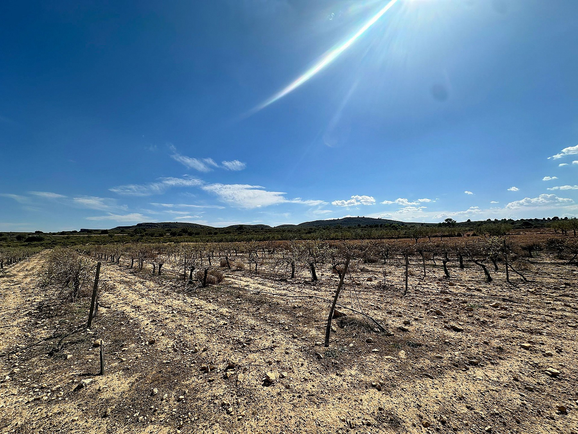 Resale - Land in Yecla - - Murcia Resale - Land in Yecla - - Murcia
