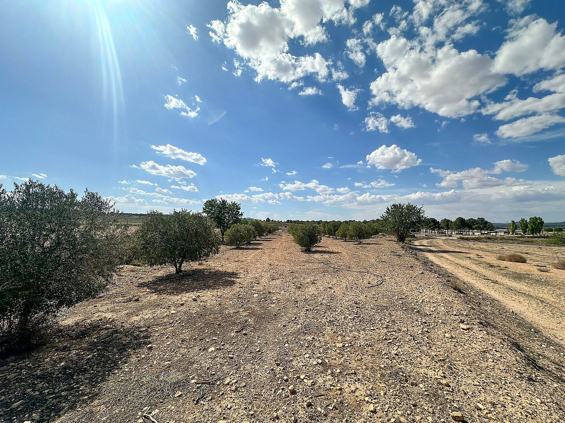 Resale - Land in Yecla - - Murcia Resale - Land in Yecla - - Murcia