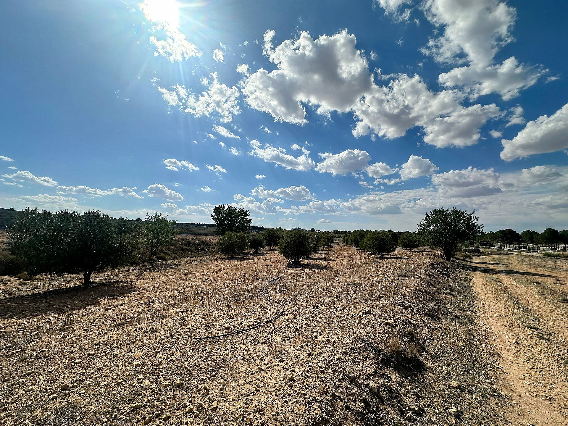 Resale - Land in Yecla - - Murcia Resale - Land in Yecla - - Murcia