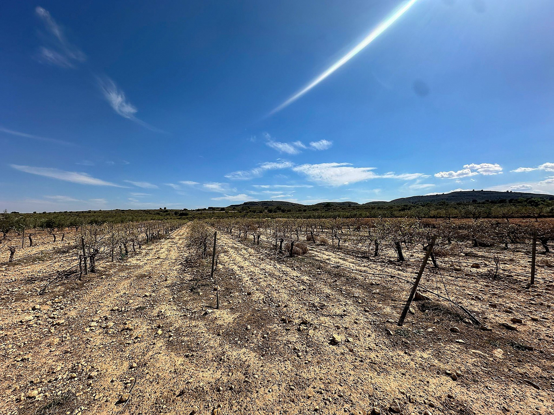 Resale - Land in Yecla - - Murcia Resale - Land in Yecla - - Murcia