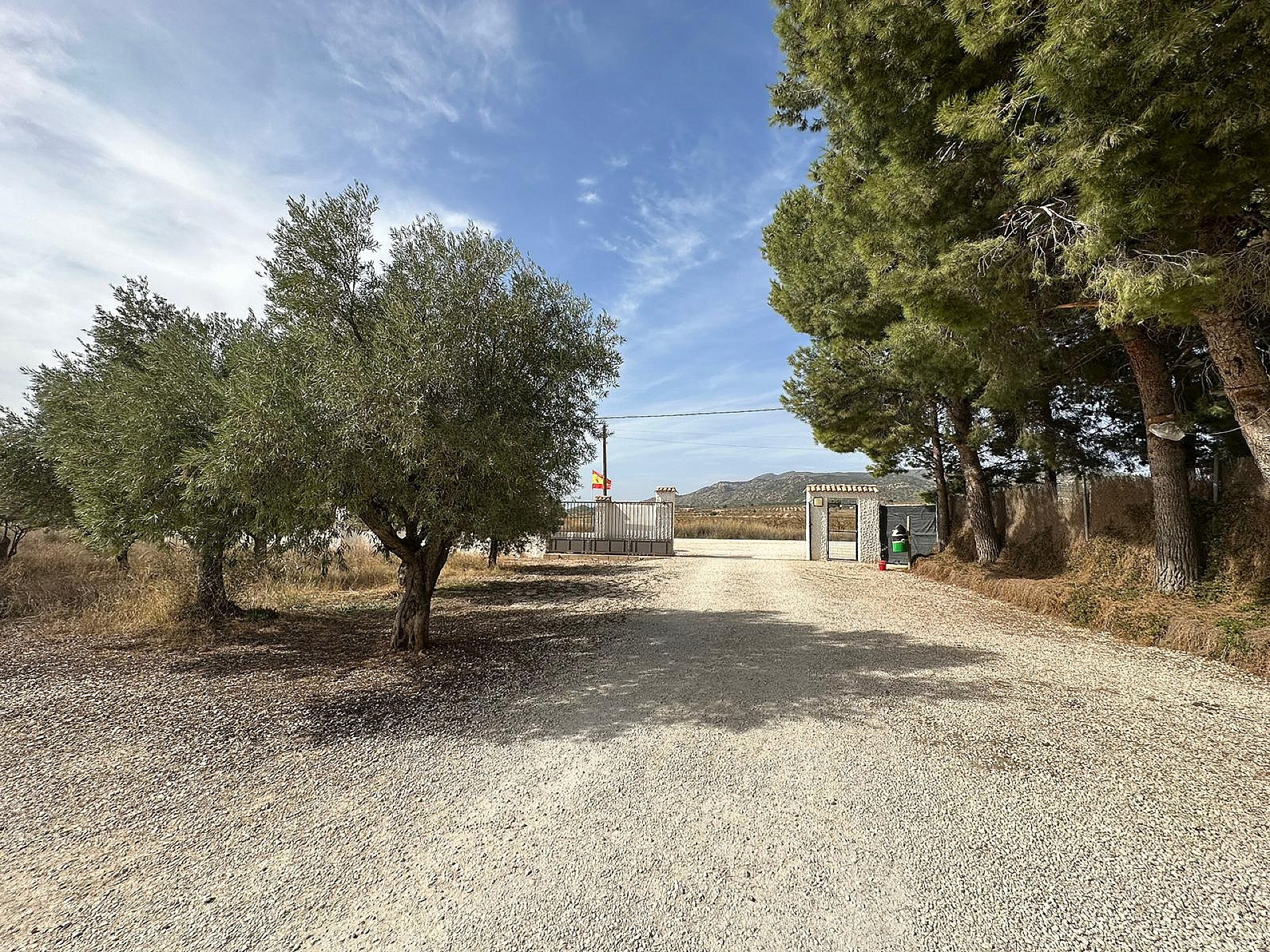 Resale - 3 Bedroom 1 Bathroom Commercial in Pinoso - - Alicante Resale - 3 Bedroom 1 Bathroom Commercial in Pinoso - - Alicante