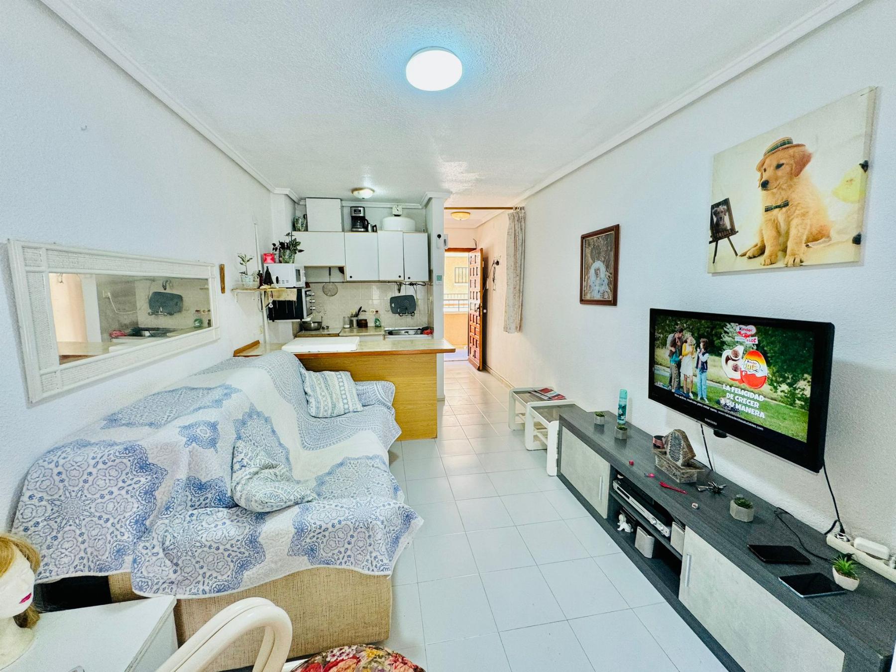 Sold - 1 Bathroom Estudio in Torrevieja - San Luis - Chaparal - Alicante Sold - 1 Bathroom Estudio in Torrevieja - San Luis - Chaparal - Alicante