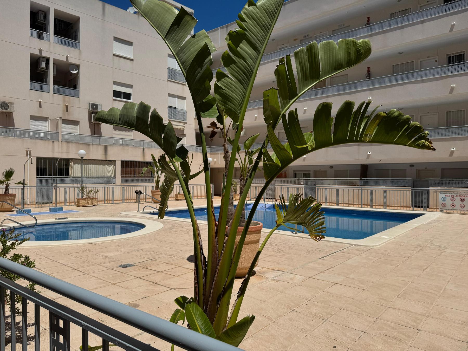 Resale - 2 Bedroom 1 Bathroom Apartamento in Almoradí - almoradi - Alicante Resale - 2 Bedroom 1 Bathroom Apartamento in Almoradí - almoradi - Alicante