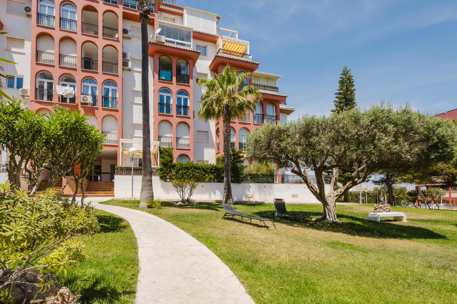 Sold - 1 Bedroom 1 Bathroom Apartamento in Torrevieja - PLAYA DE LA MATA - Alicante Sold - 1 Bedroom 1 Bathroom Apartamento in Torrevieja - PLAYA DE LA MATA - Alicante