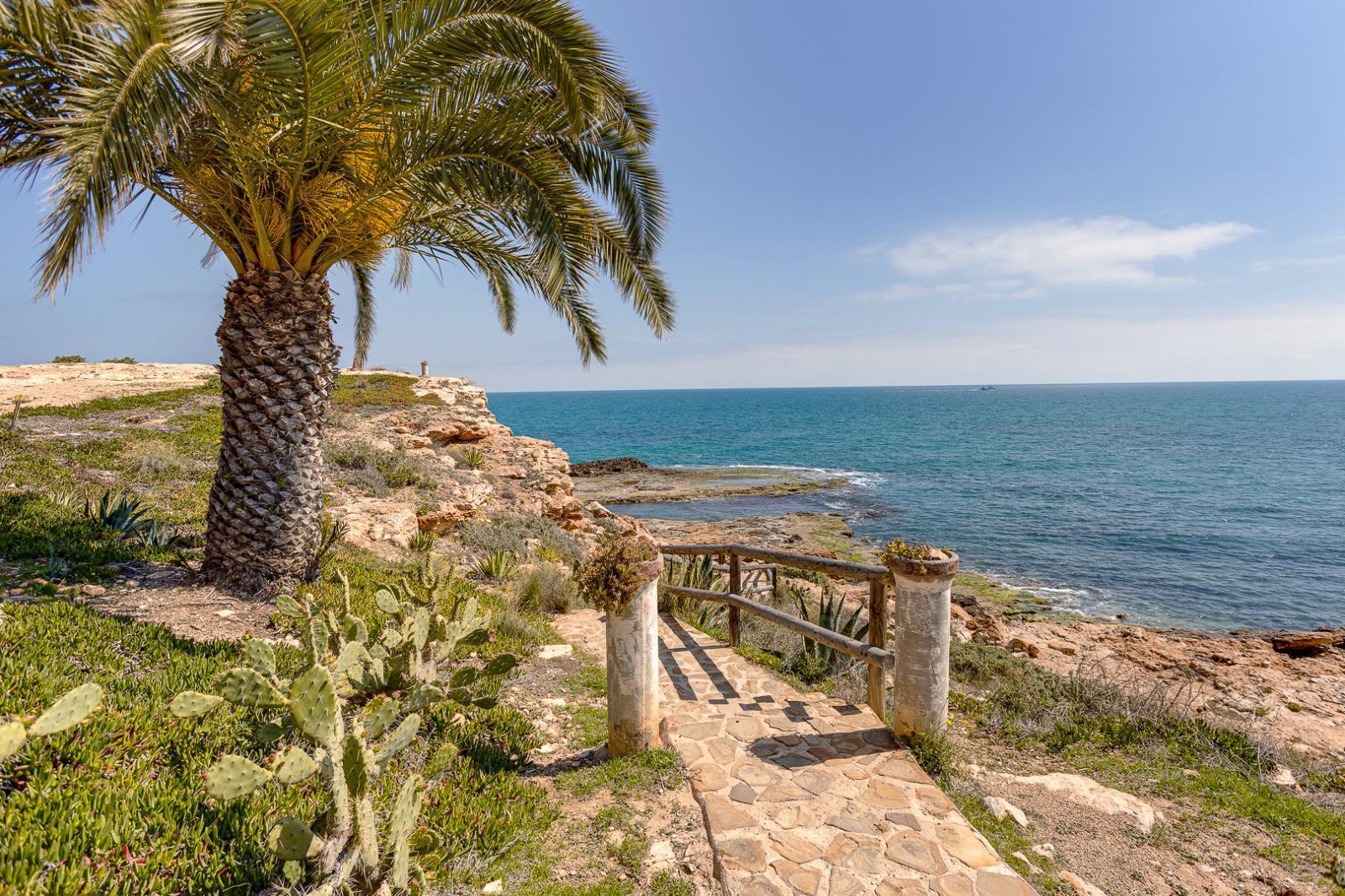Resale - 1 Bedroom 1 Bathroom Apartamento in Torrevieja - PLAYA DE LA MATA - Alicante Resale - 1 Bedroom 1 Bathroom Apartamento in Torrevieja - PLAYA DE LA MATA - Alicante