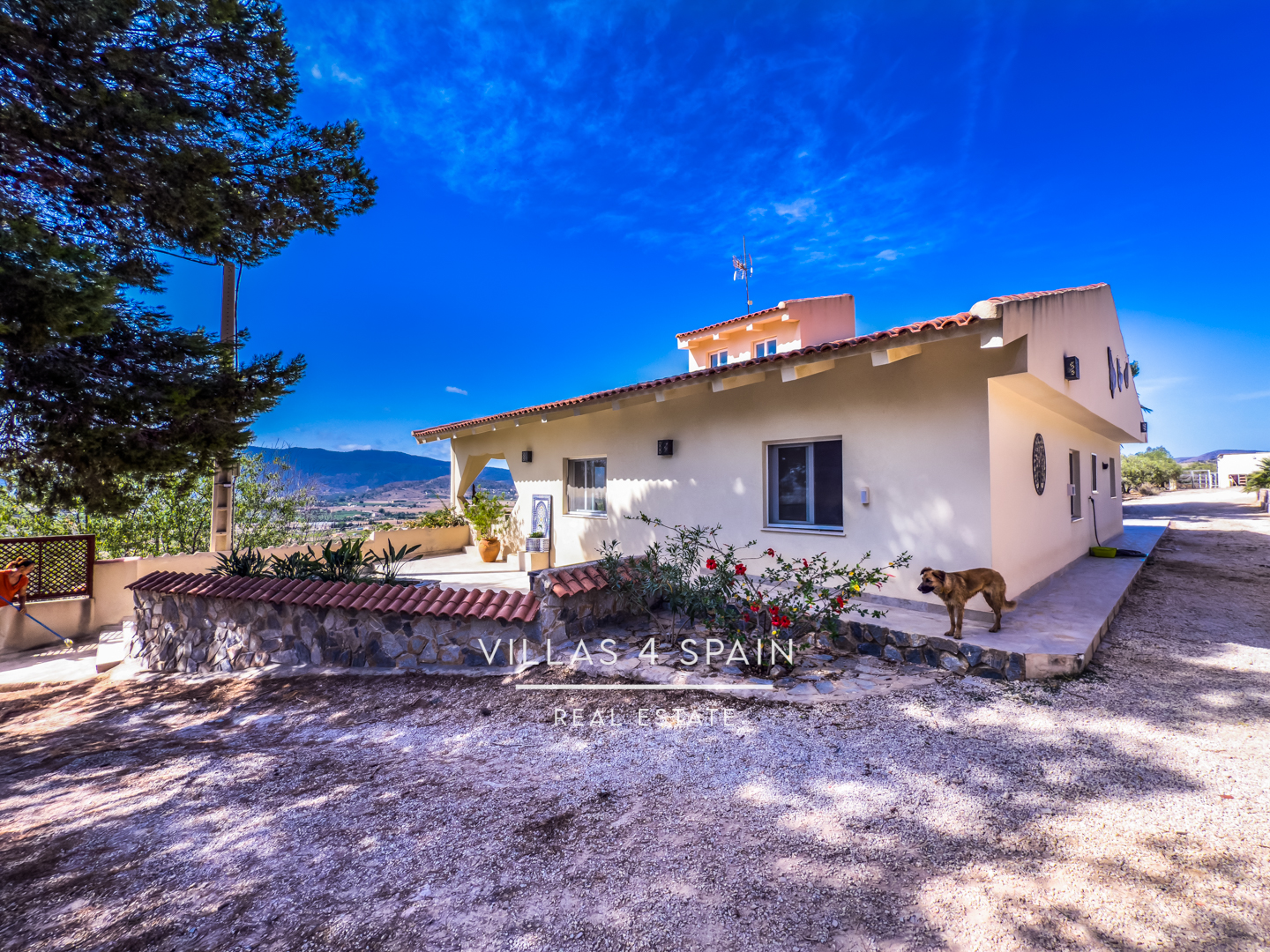 Resale - 3 Bed 2 Bath Villa with Equestrian facilities in Hondon de las Nieves Alicante - camino de los puertos solana 6 - Alicante Resale - 3 Bed 2 Bath Villa with Equestrian facilities in Hondon de las Nieves Alicante - camino de los puertos solana 6 - Alicante