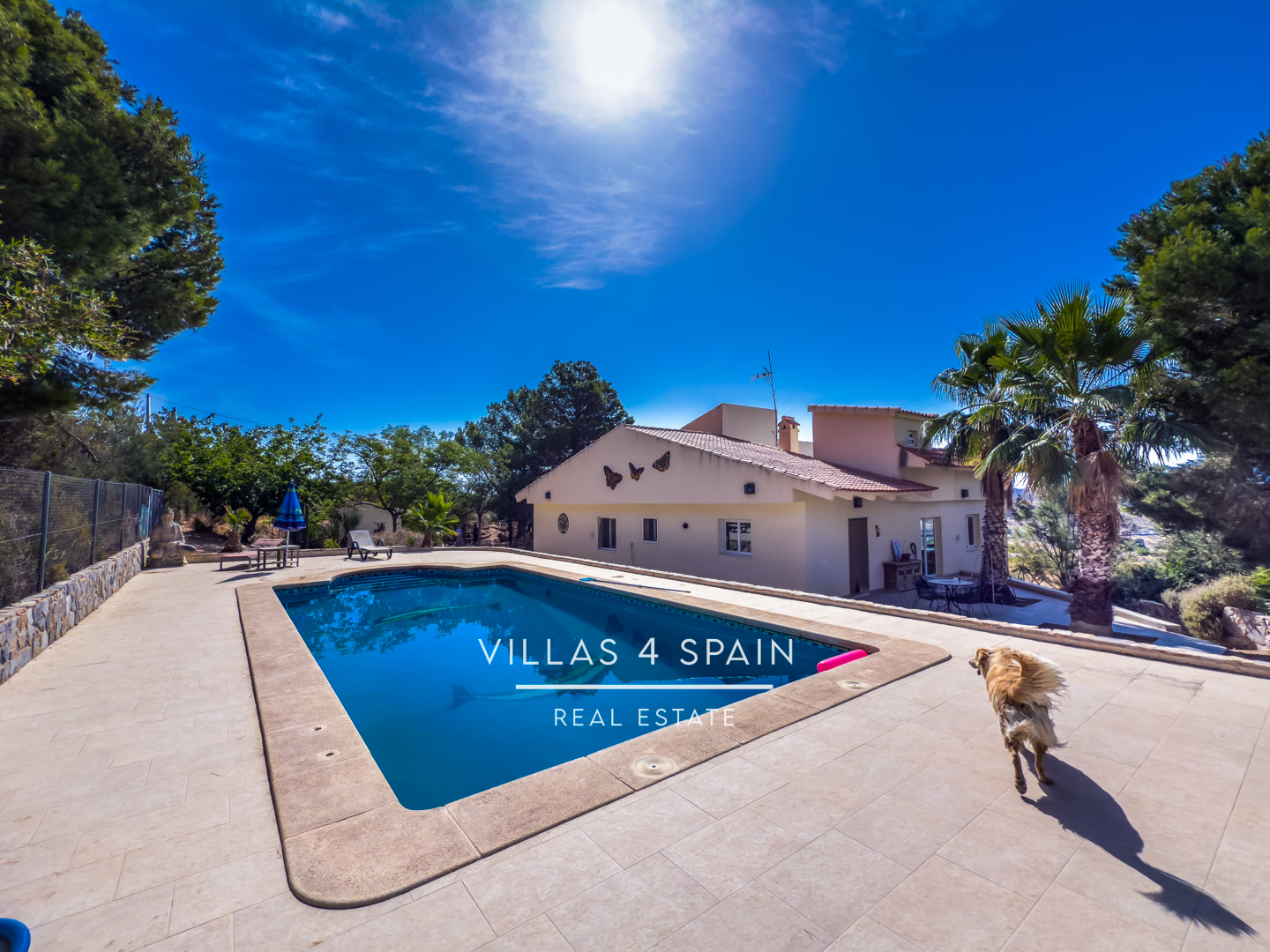 Resale - 3 Bed 2 Bath Villa with Equestrian facilities in Hondon de las Nieves Alicante - camino de los puertos solana 6 - Alicante Resale - 3 Bed 2 Bath Villa with Equestrian facilities in Hondon de las Nieves Alicante - camino de los puertos solana 6 - Alicante