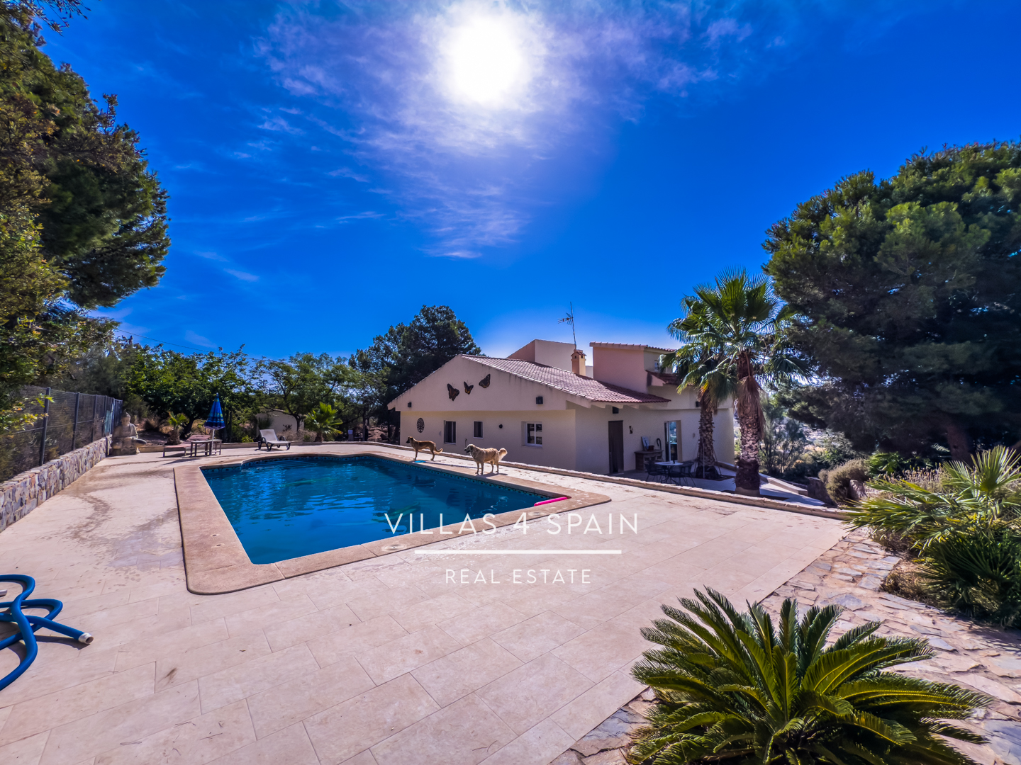 3 Bed 2 Bath Villa with Equestrian facilities in Hondon de las Nieves Alicante