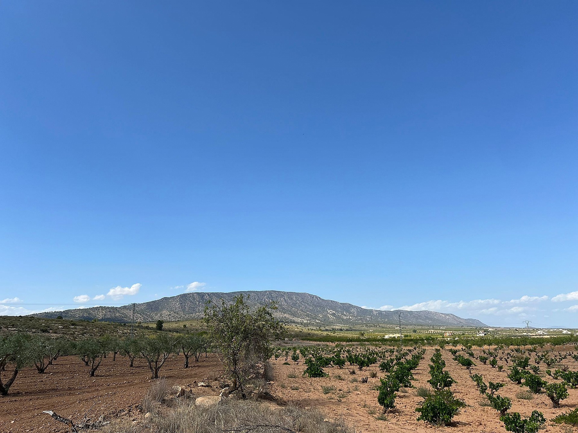 Resale - Land in Pinoso - - Alicante Resale - Land in Pinoso - - Alicante
