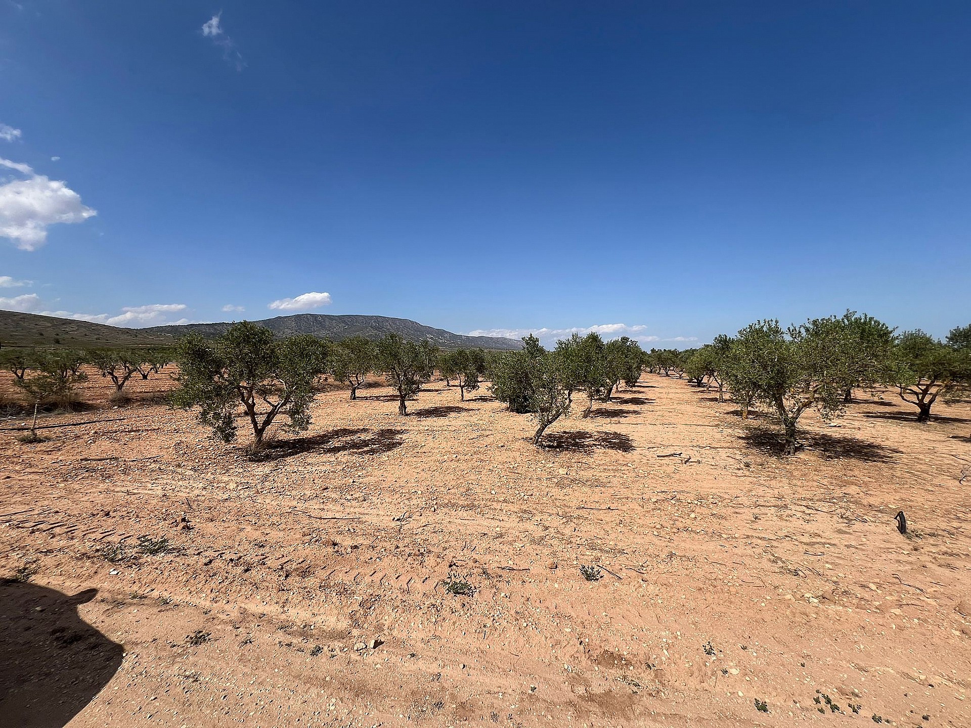 Resale - Land in Pinoso - - Alicante Resale - Land in Pinoso - - Alicante