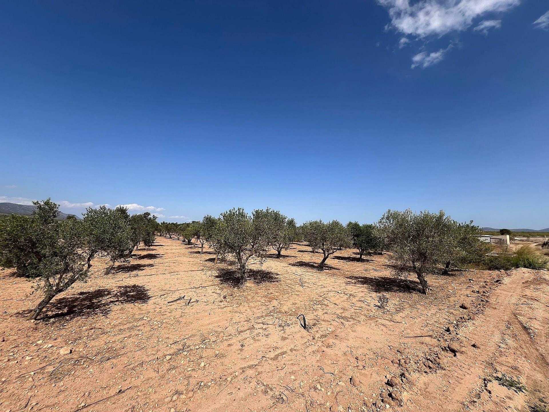 Resale - Land in Pinoso - - Alicante Resale - Land in Pinoso - - Alicante