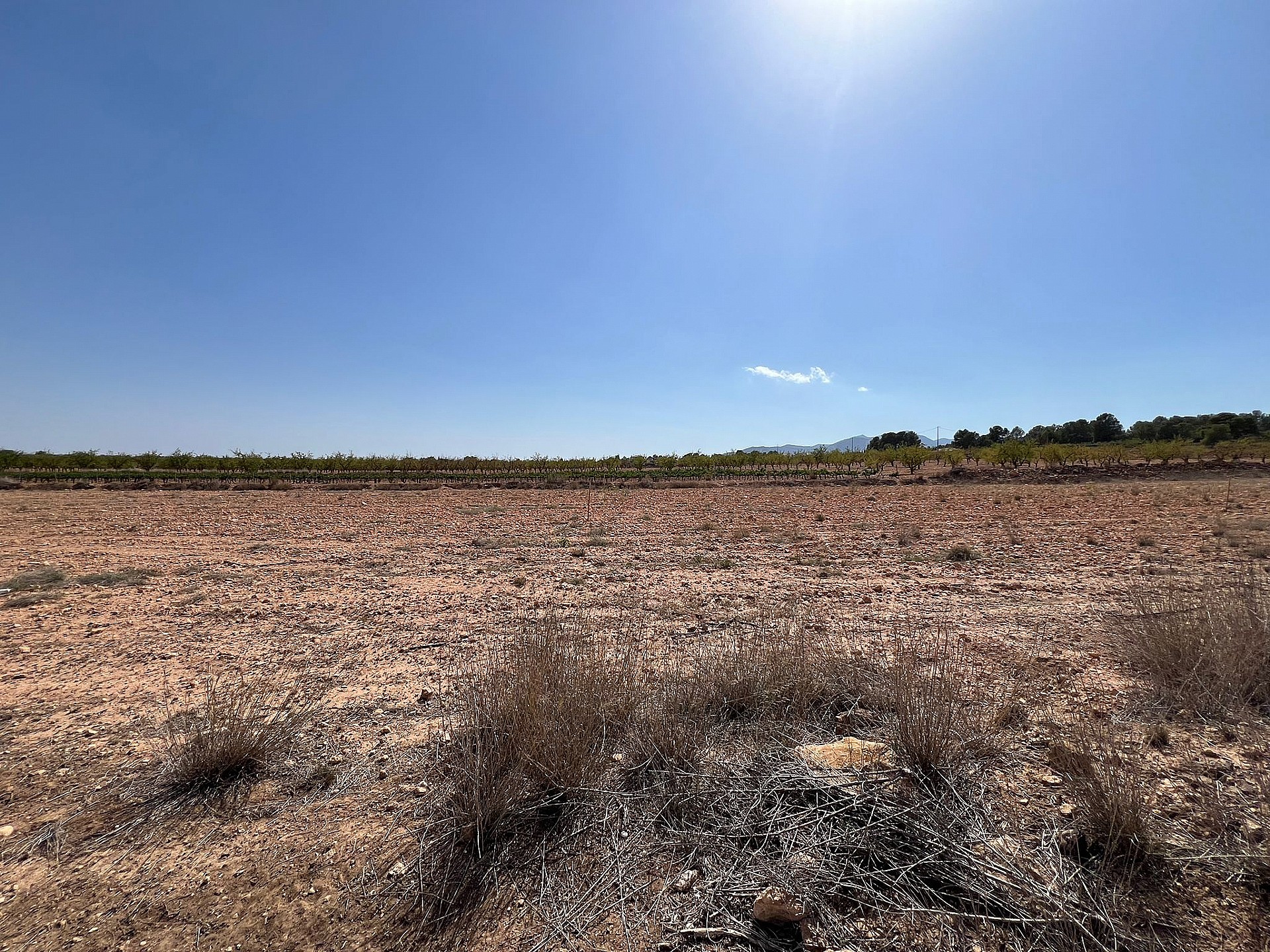 Resale - Land in Pinoso - - Alicante Resale - Land in Pinoso - - Alicante
