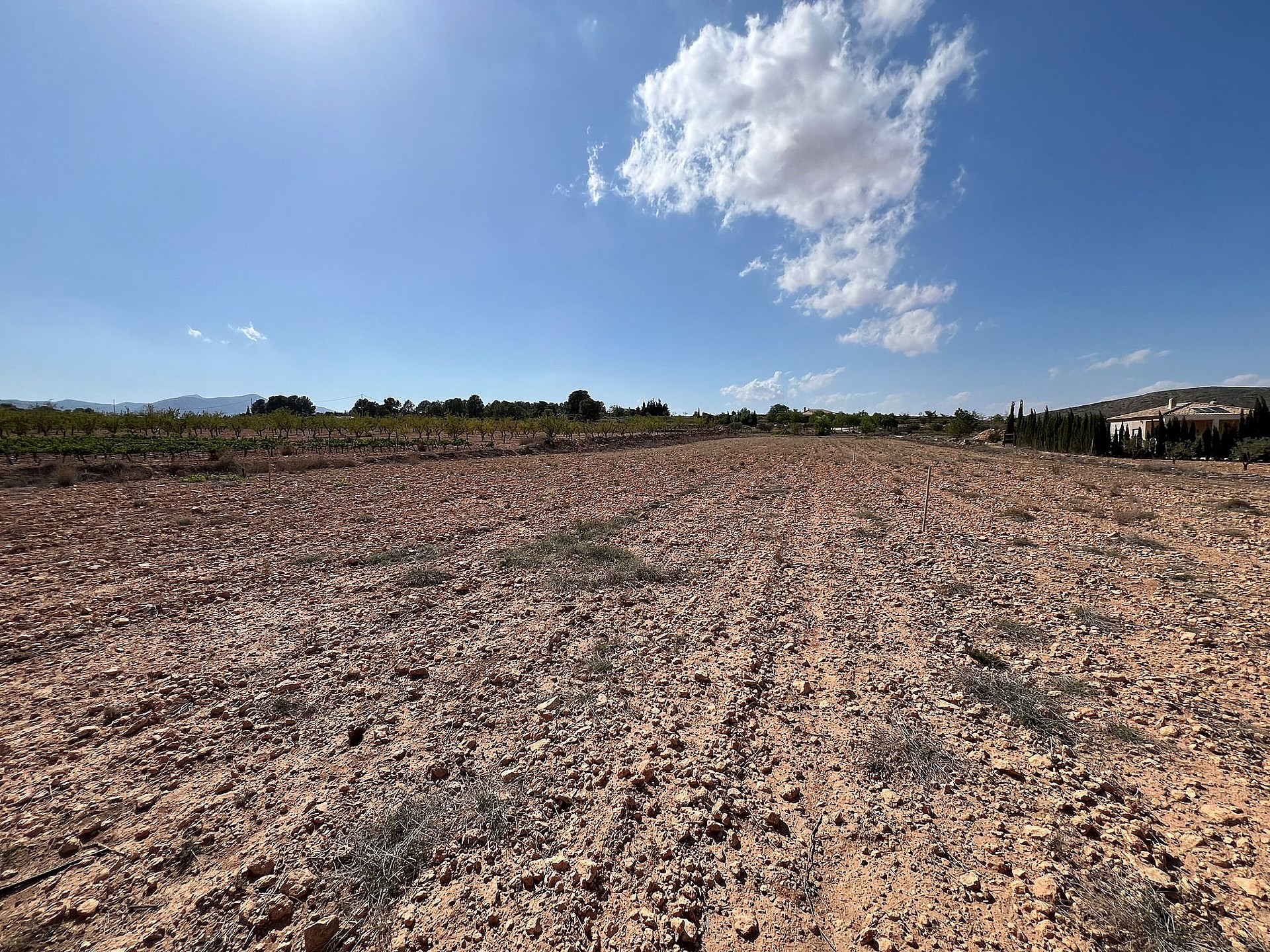 Resale - Land in Pinoso - - Alicante Resale - Land in Pinoso - - Alicante