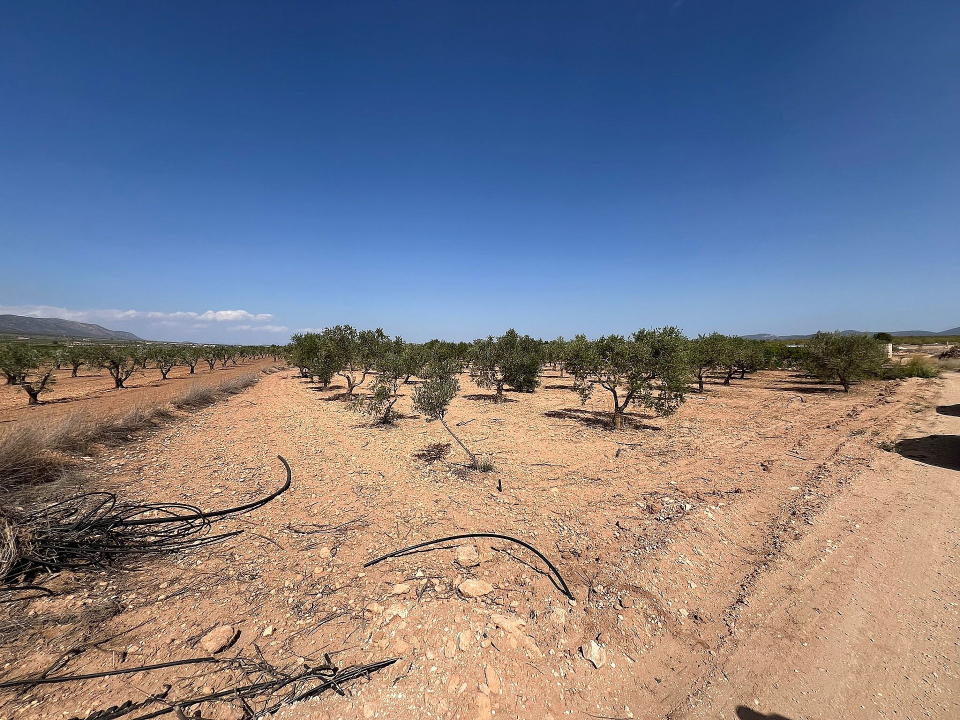 Resale - Land in Pinoso - - Alicante Resale - Land in Pinoso - - Alicante