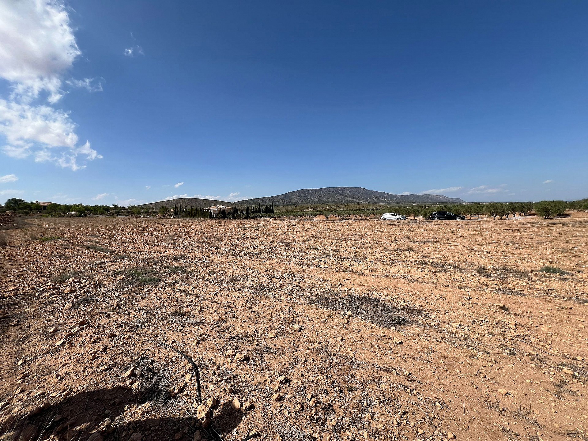 Resale - Land in Pinoso - - Alicante Resale - Land in Pinoso - - Alicante