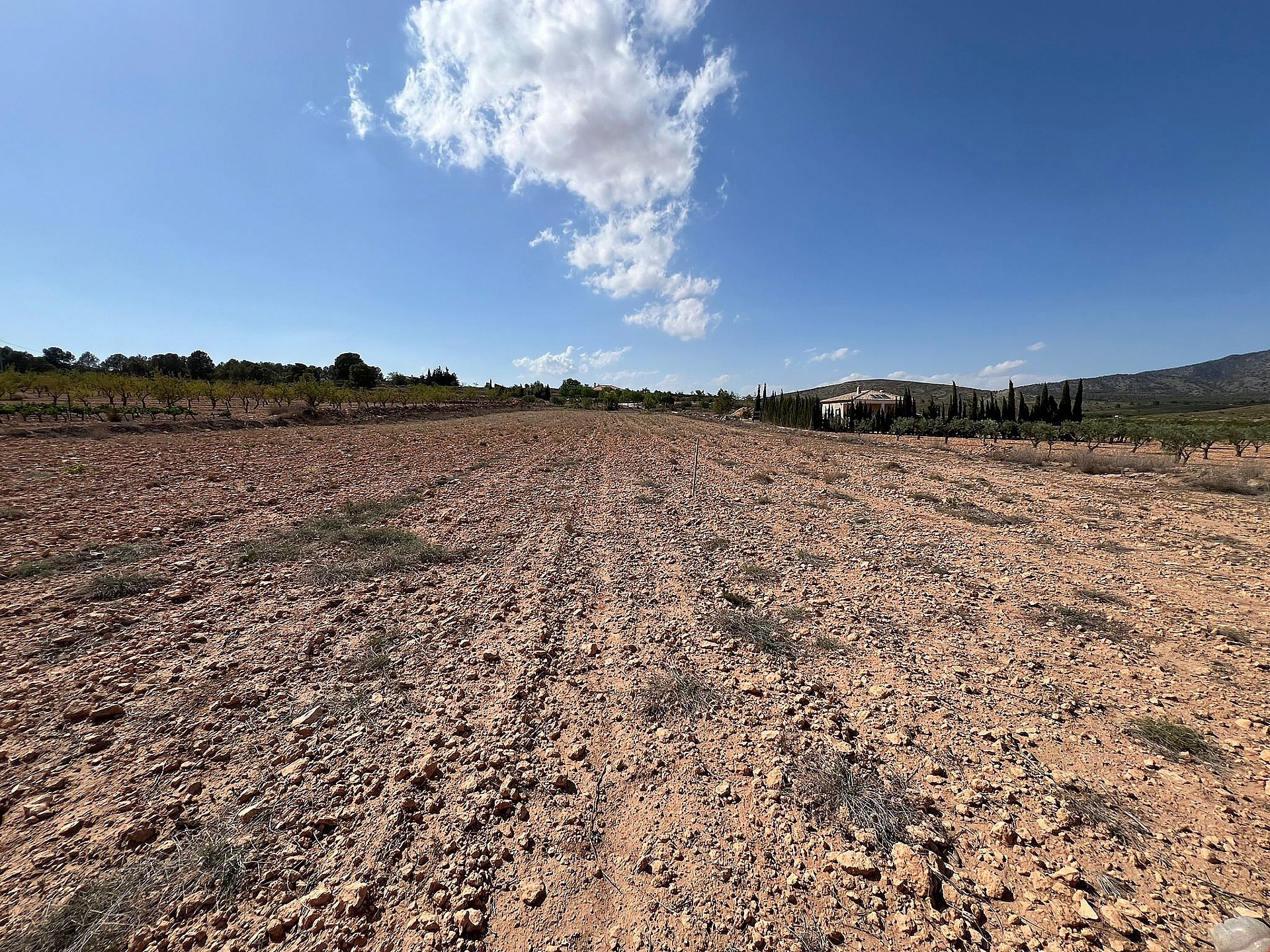 Resale - Land in Pinoso - - Alicante Resale - Land in Pinoso - - Alicante