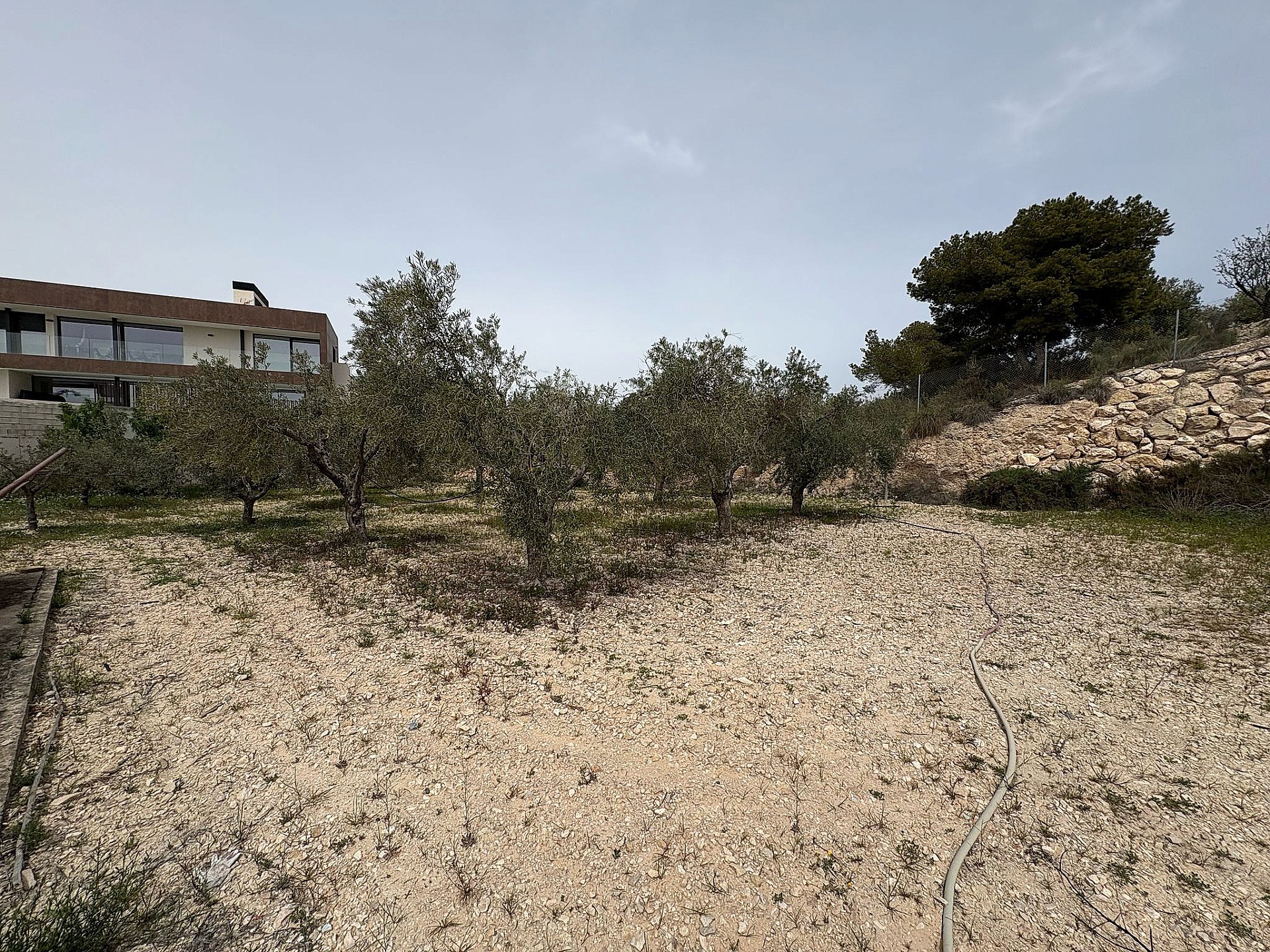 Resale - 4 Bedroom 1 Bathroom Country house in Petrer - - Alicante Resale - 4 Bedroom 1 Bathroom Country house in Petrer - - Alicante