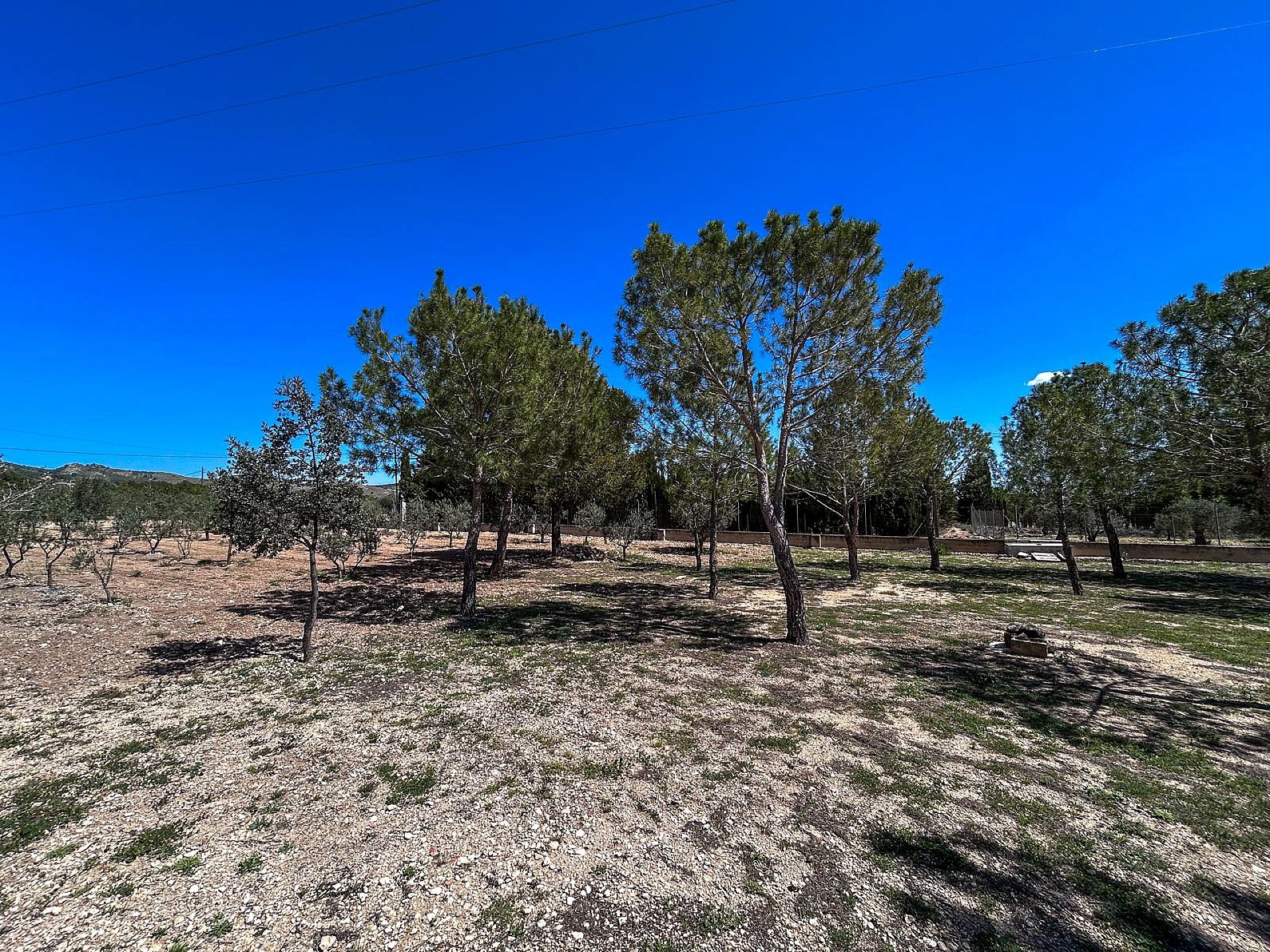 Resale - 4 Bedroom 2 Bathroom Villa in Yecla - - Murcia Resale - 4 Bedroom 2 Bathroom Villa in Yecla - - Murcia