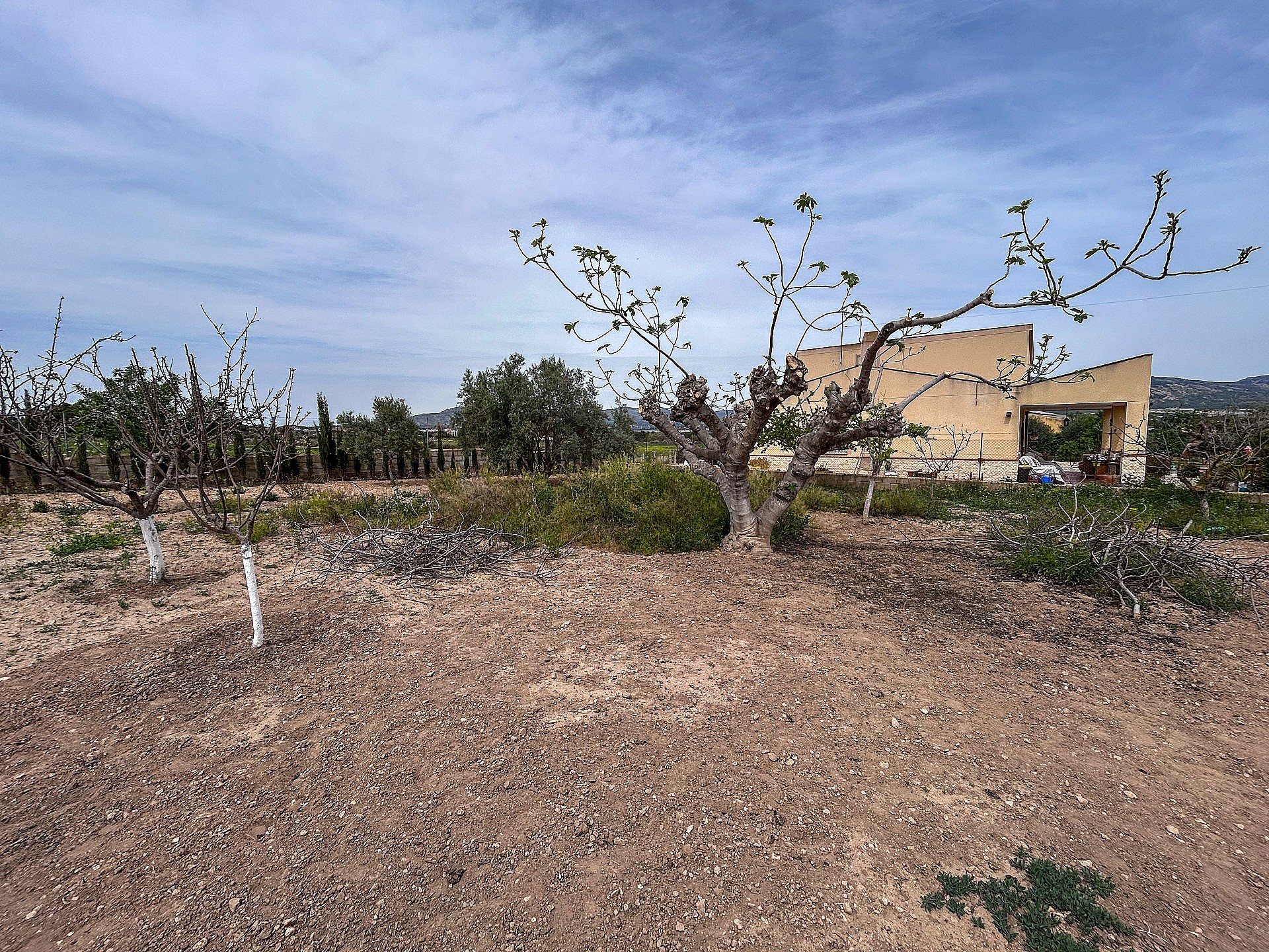 Resale - 4 Bedroom 2 Bathroom Country house in Sax - - Alicante Resale - 4 Bedroom 2 Bathroom Country house in Sax - - Alicante