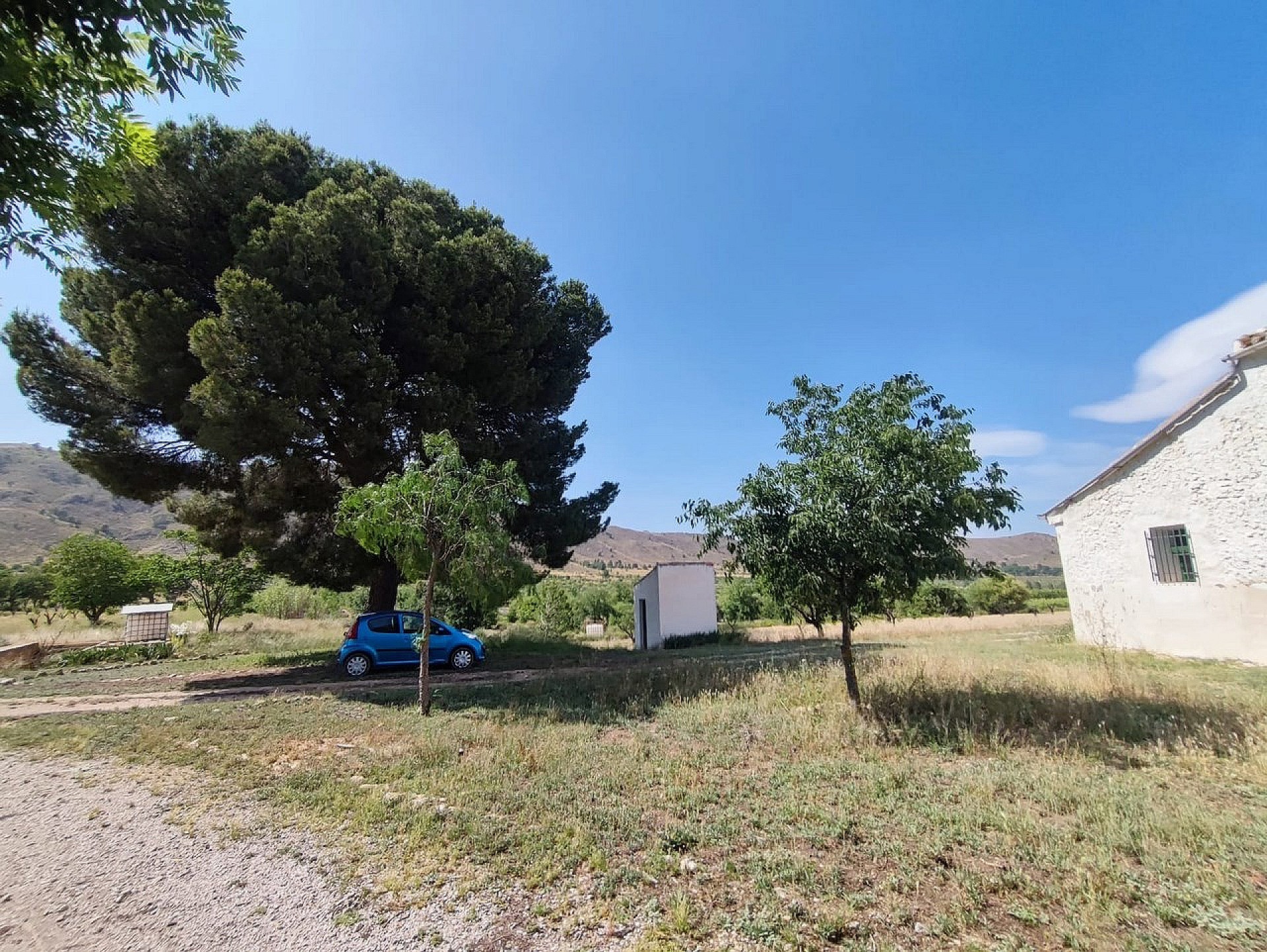 Resale - 5 Bedroom 1 Bathroom Country house in Yecla - - Murcia Resale - 5 Bedroom 1 Bathroom Country house in Yecla - - Murcia