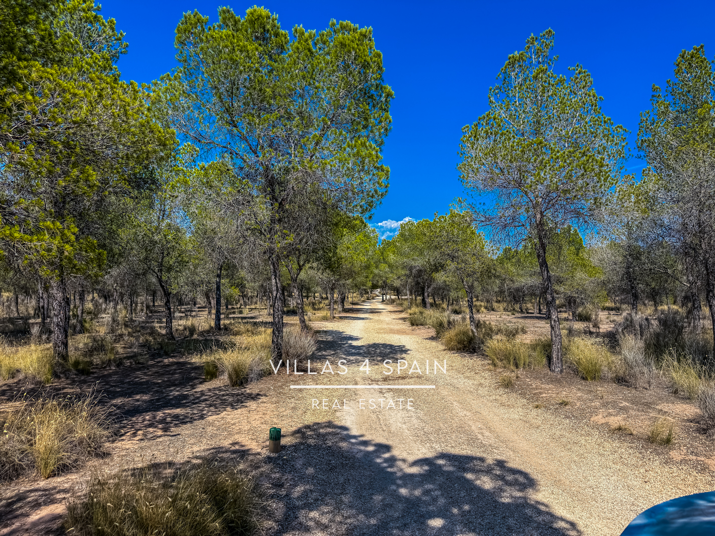 Resale - 2 Bed 2 Bath Country Villa with 16.550m2 plot in Sax - calle garcilaso - Alicante Resale - 2 Bed 2 Bath Country Villa with 16.550m2 plot in Sax - calle garcilaso - Alicante