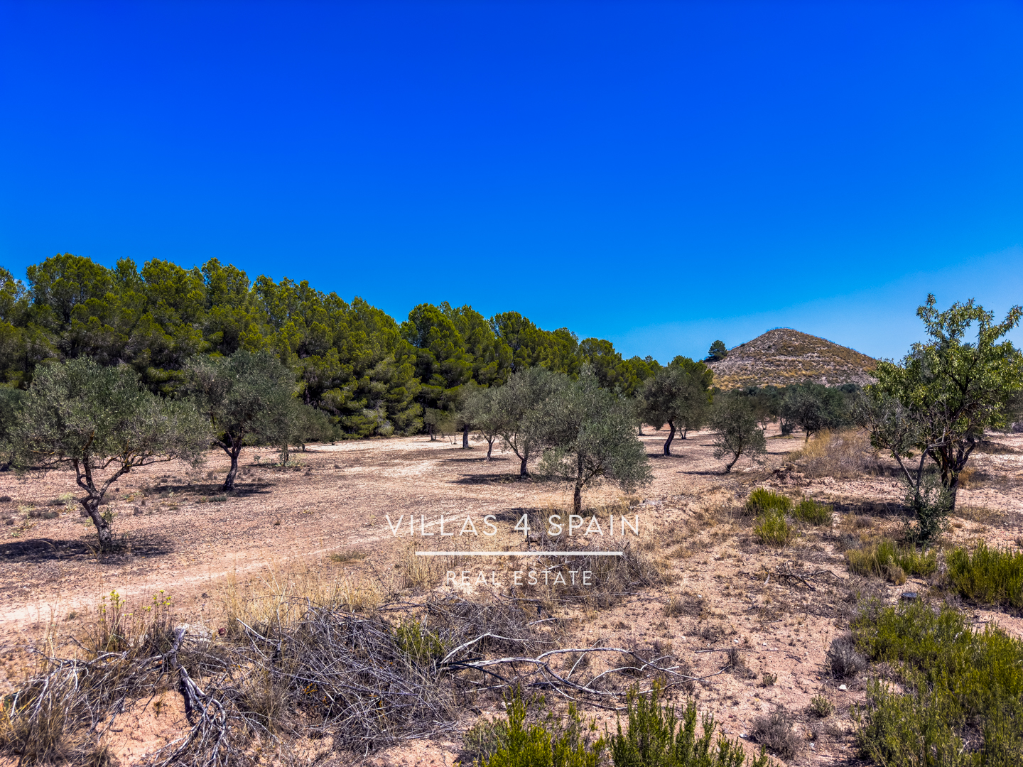 Resale - 2 Bed 2 Bath Country Villa with 16.550m2 plot in Sax - calle garcilaso - Alicante Resale - 2 Bed 2 Bath Country Villa with 16.550m2 plot in Sax - calle garcilaso - Alicante