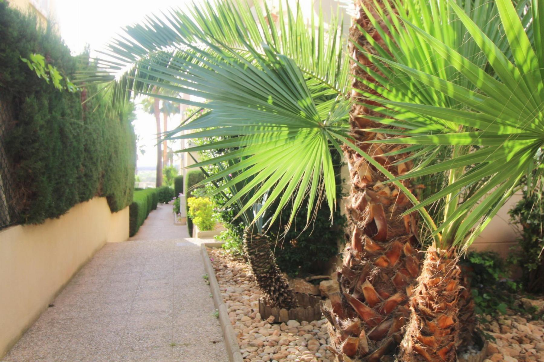 Resale - 3 Bedroom 2 Bathroom Apartamento in Torrevieja - La Veleta - Alicante Resale - 3 Bedroom 2 Bathroom Apartamento in Torrevieja - La Veleta - Alicante