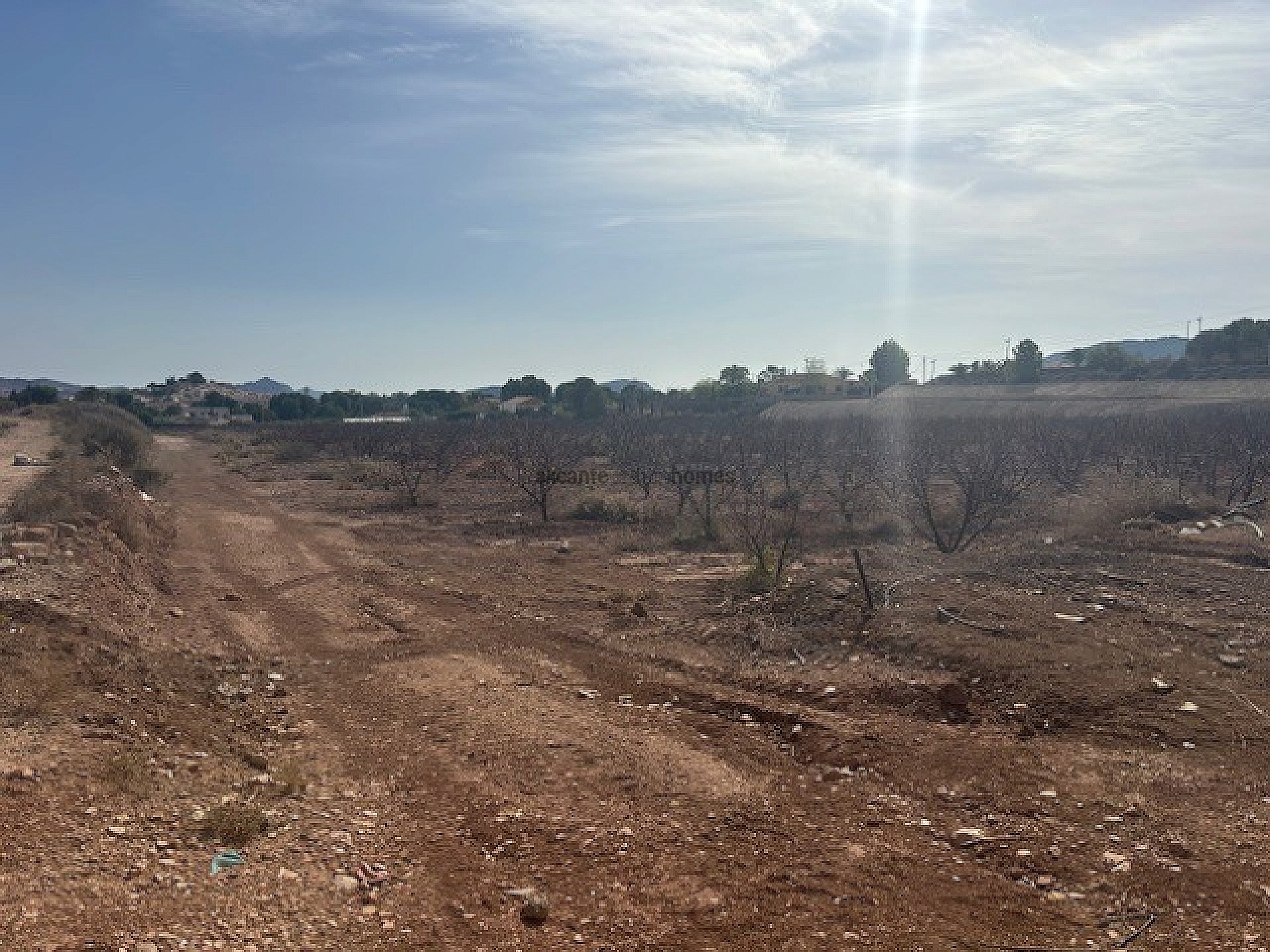 Resale - Land in Monóvar -  - Alicante