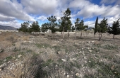 3-11501/4380, Land in Salinas
