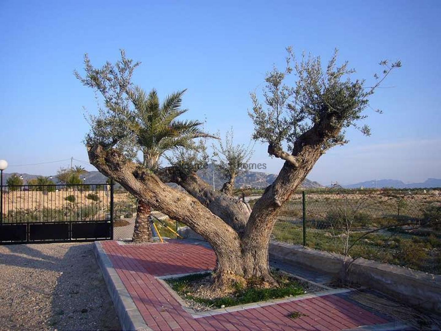 Resale - 3 Bedroom 3 Bathroom Villa in Abanilla -  - Murcia