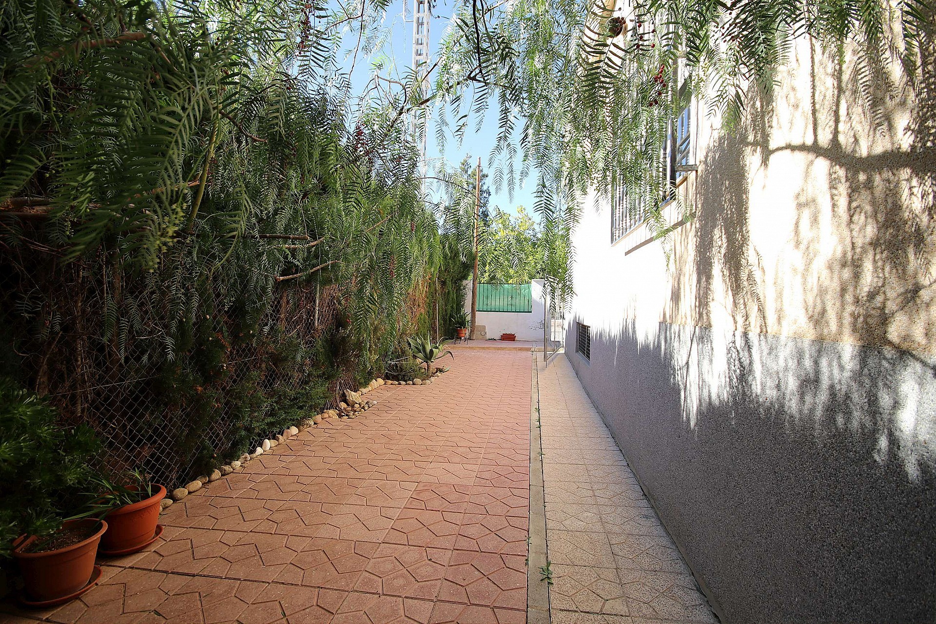 Sold - 4 Bedroom 5 Bathroom Commercial in Monovar -  - Alicante