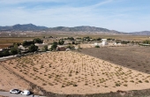 3-6869/4426, Land in Pinoso