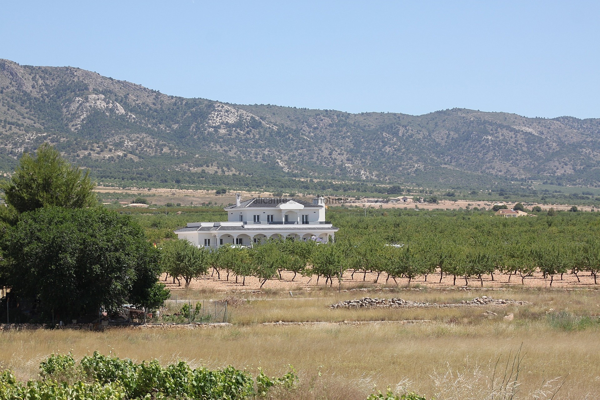 Resale - 4 Bedroom 3 Bathroom Villa in Pinoso -  - Alicante
