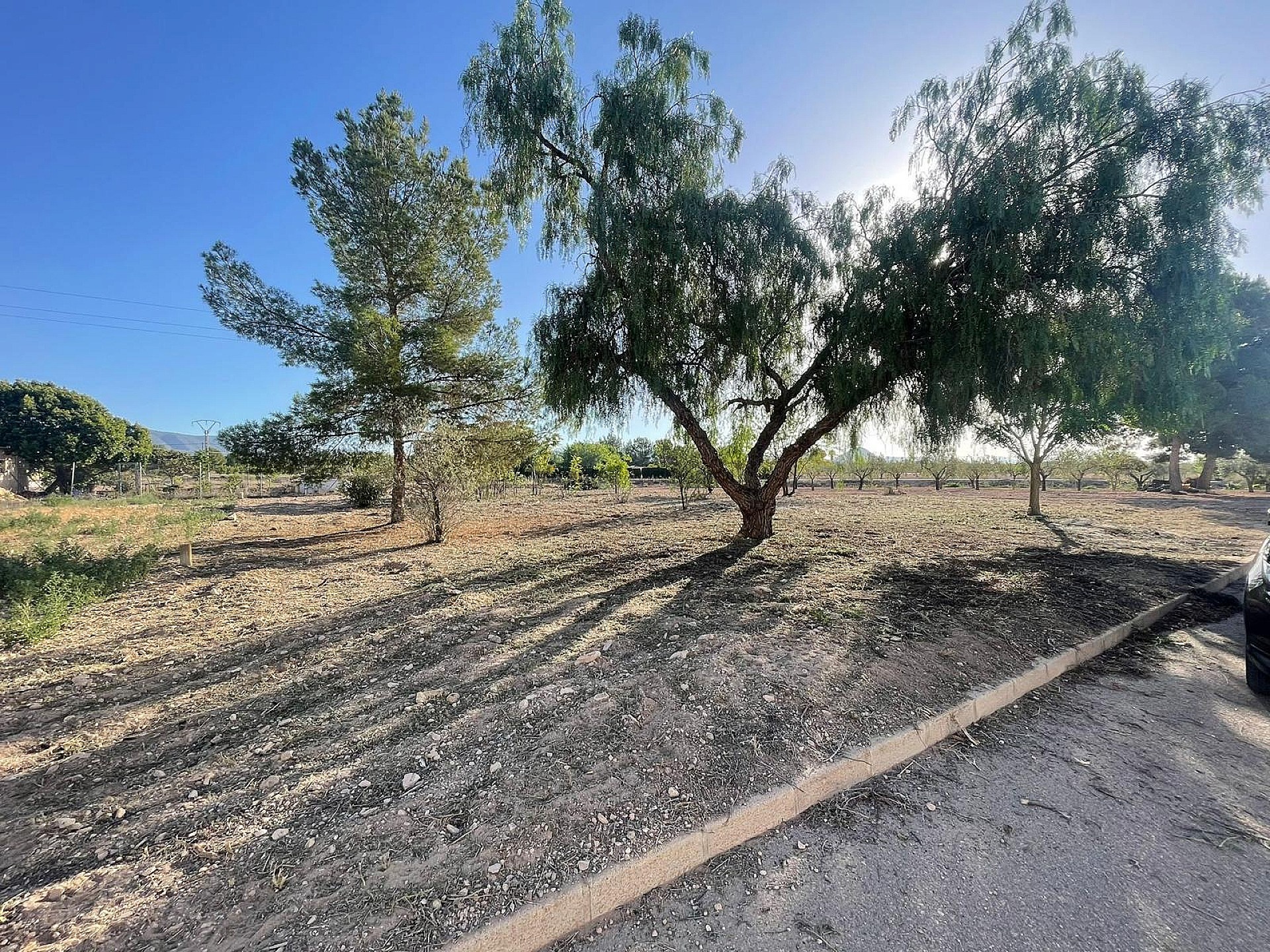 Resale - Land in Ubeda -  - Alicante