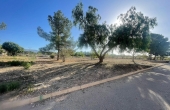 3-8006/4456, Land in Ubeda