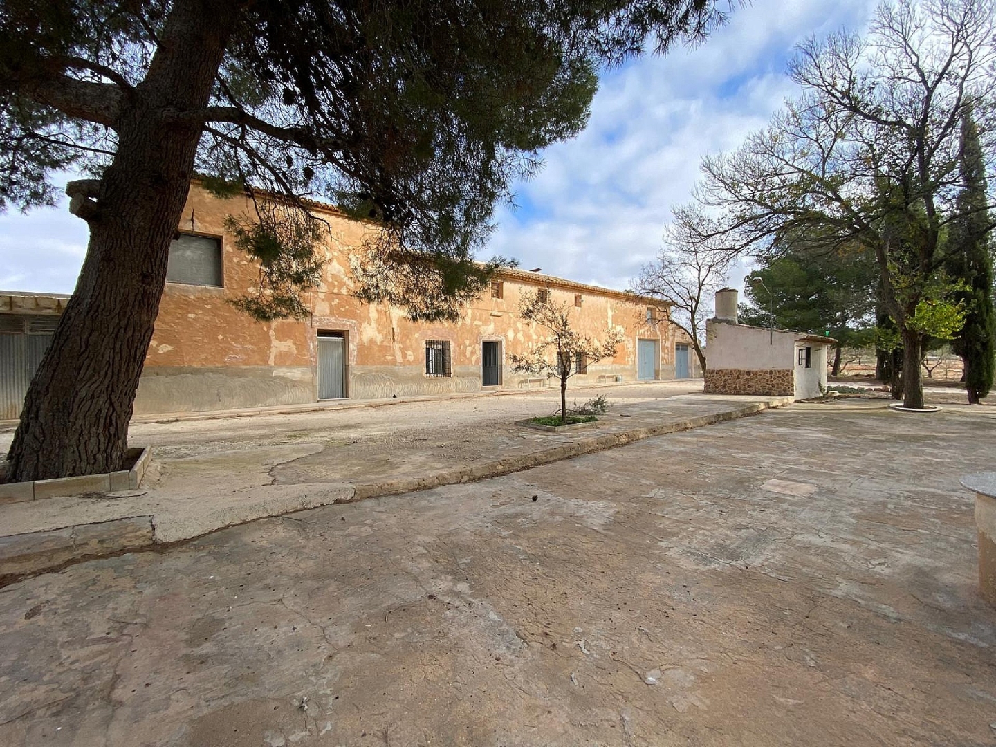 8 Bedroom 1 Bathroom Country house in Pinoso