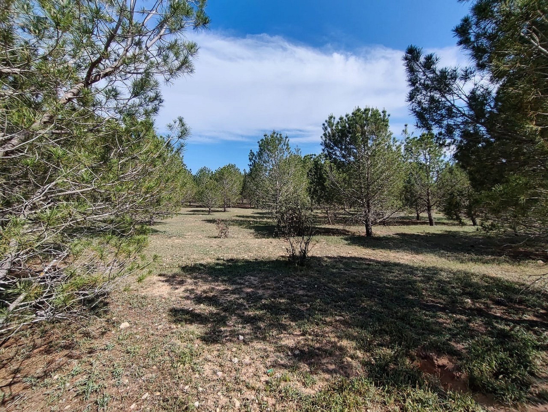 Sold - 5 Bedroom 1 Bathroom Country house in Yecla -  - Murcia