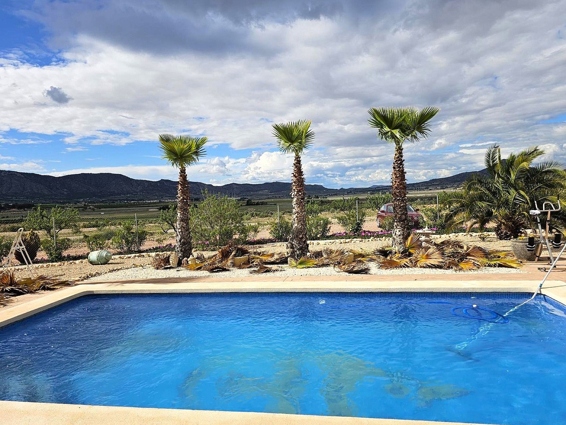 Sold - 4 Bedroom 2 Bathroom Villa in Salinas -  - Alicante